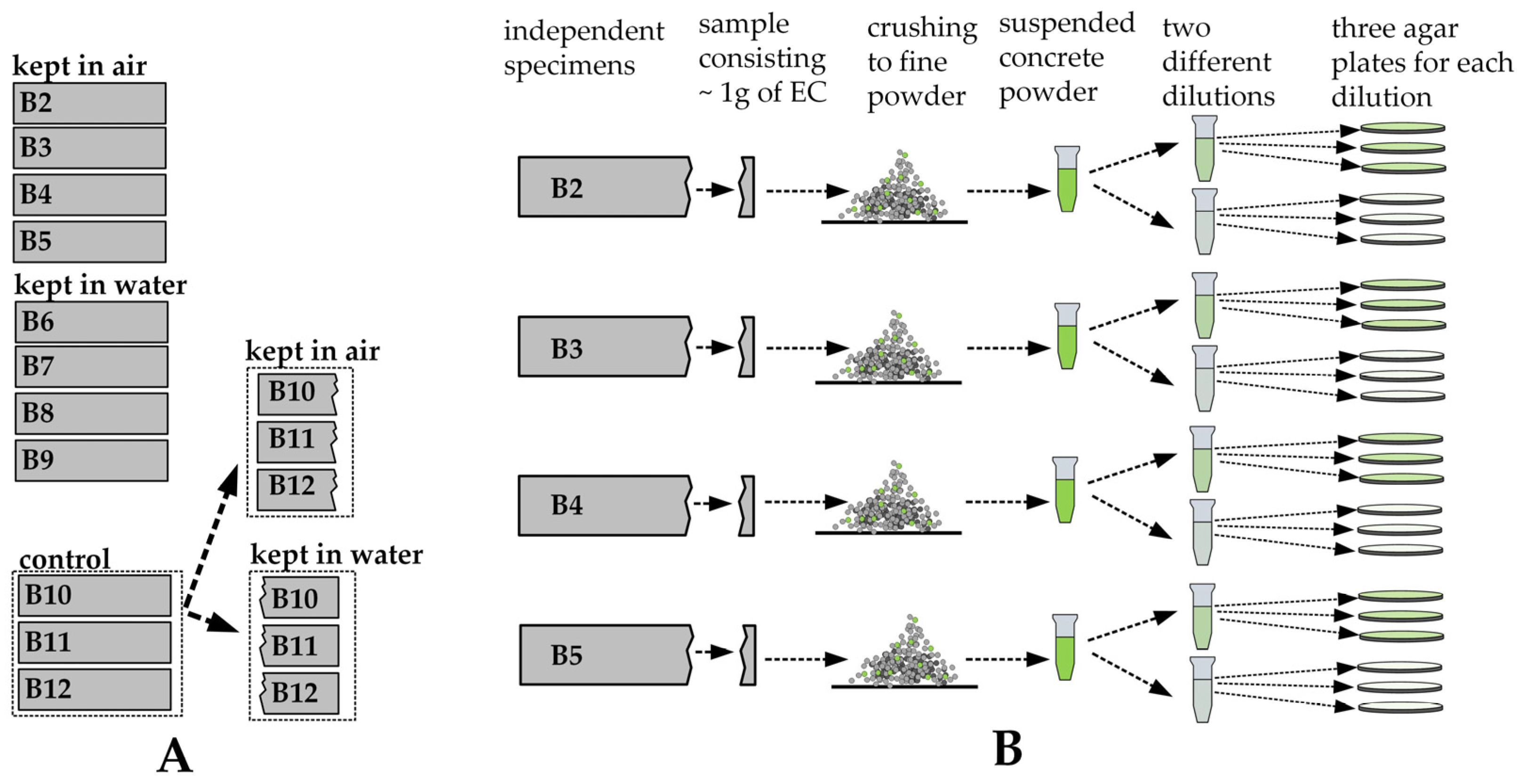 Materials 17 05797 g004
