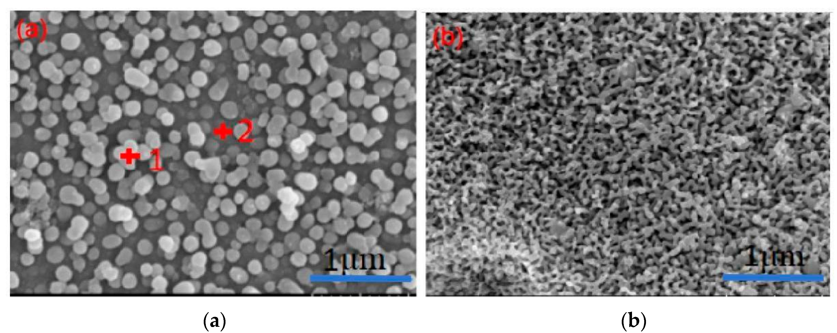 Materials 17 05803 g004