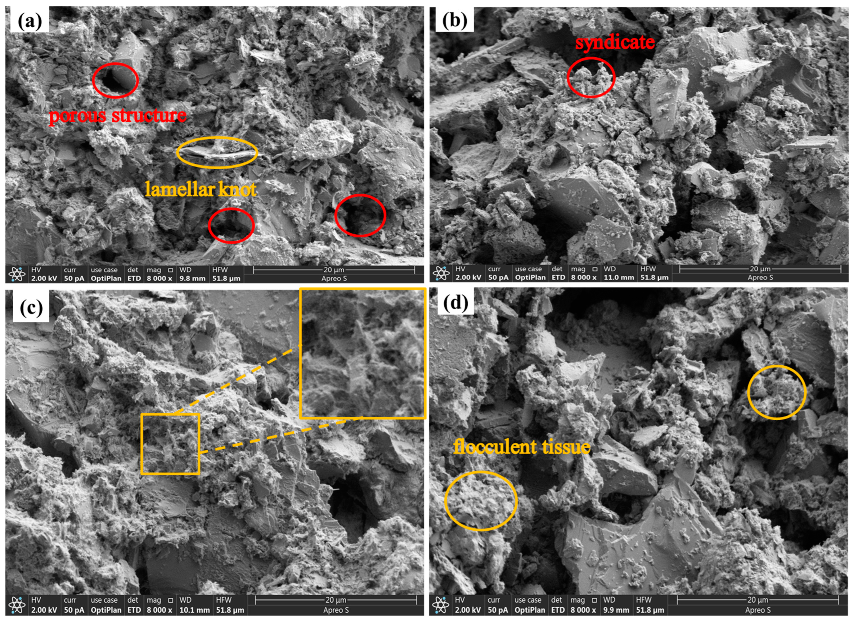 Materials 17 05808 g020