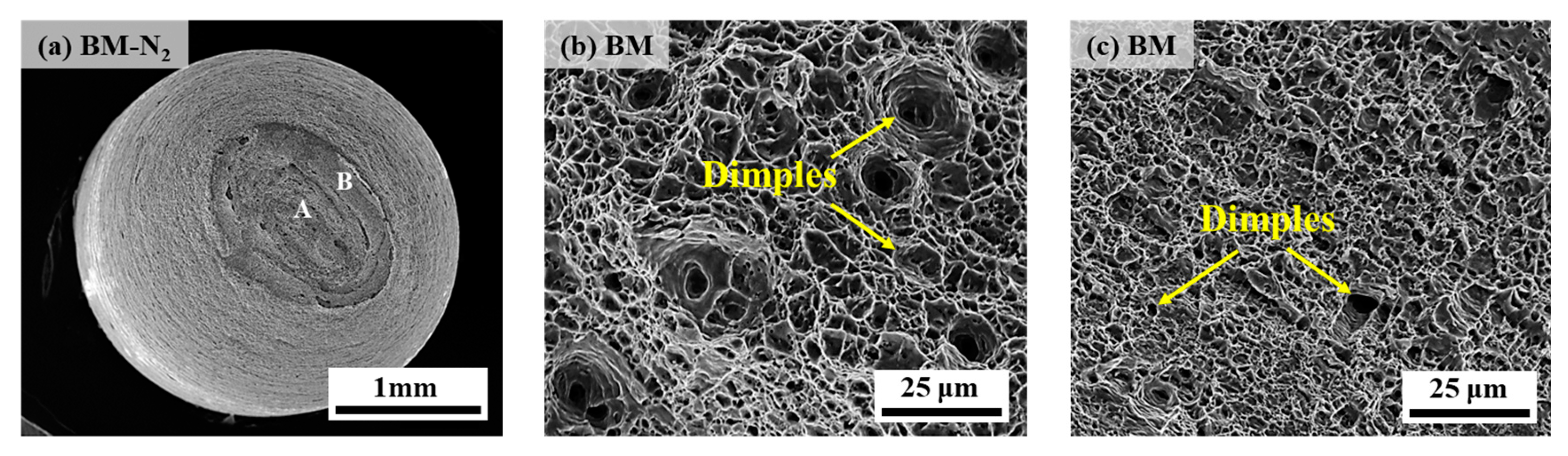 Materials 17 05818 g009