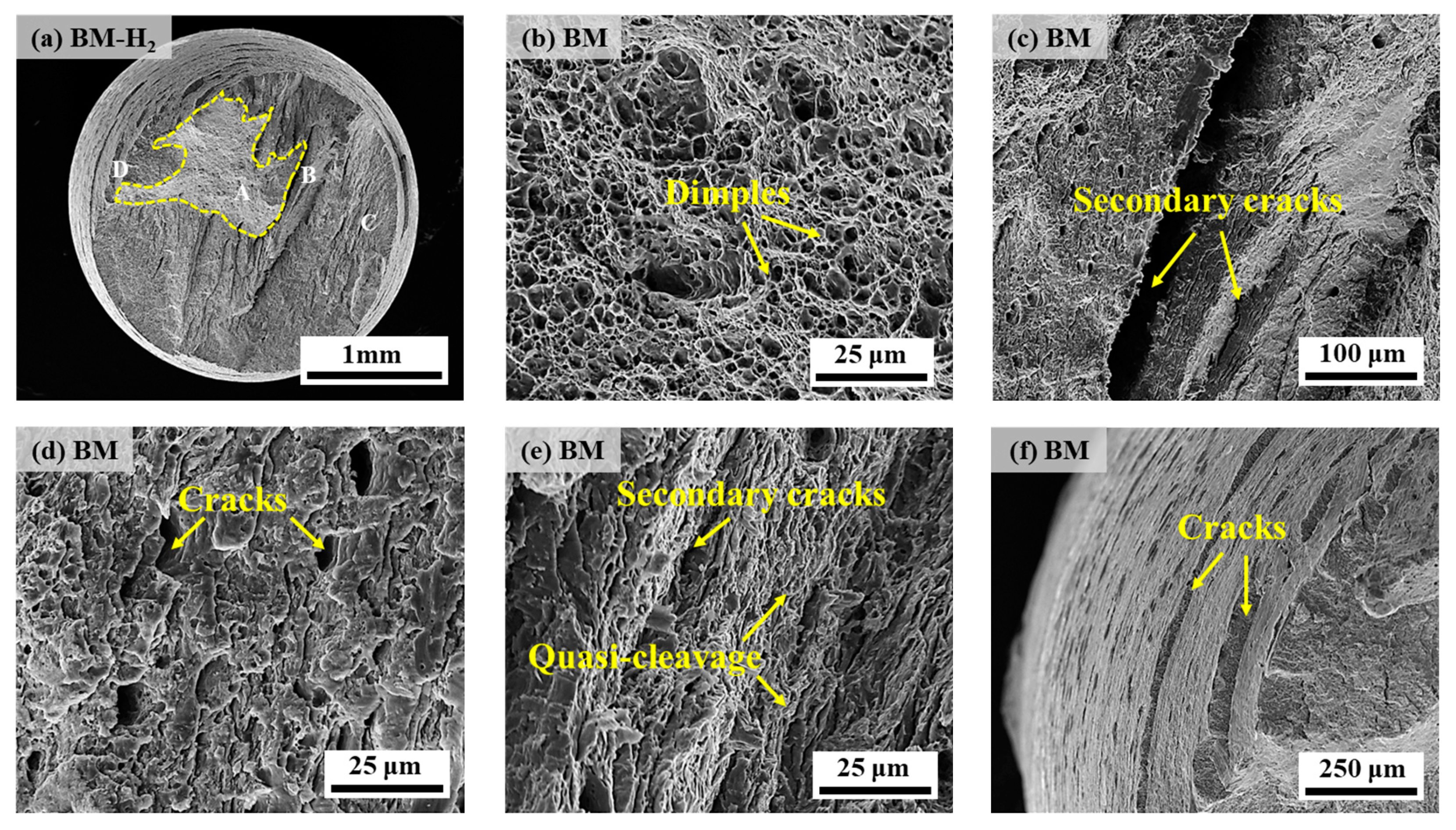 Materials 17 05818 g010