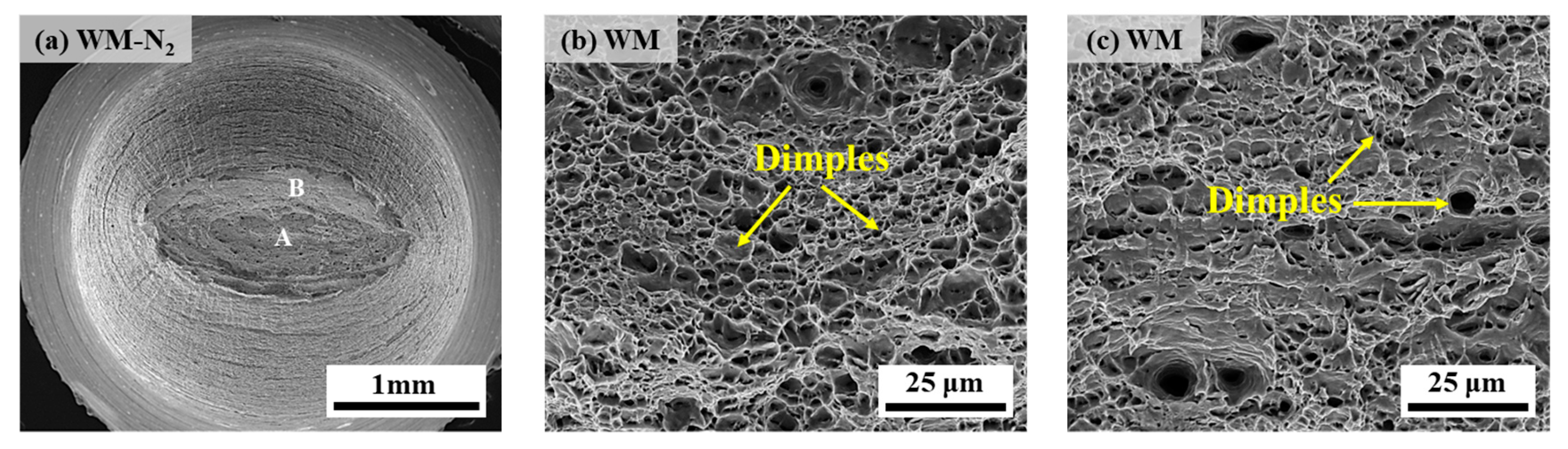 Materials 17 05818 g011