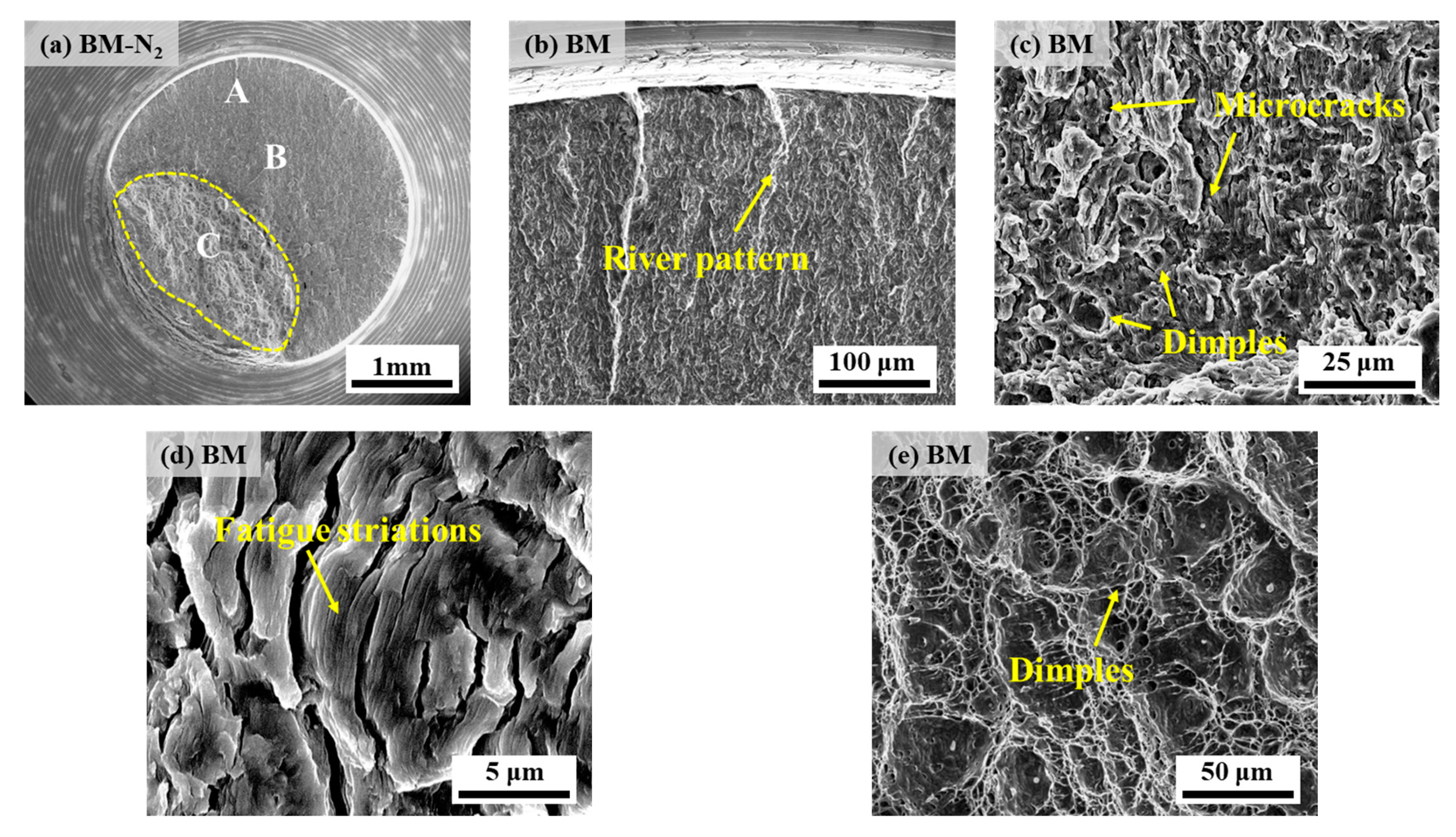 Materials 17 05818 g014