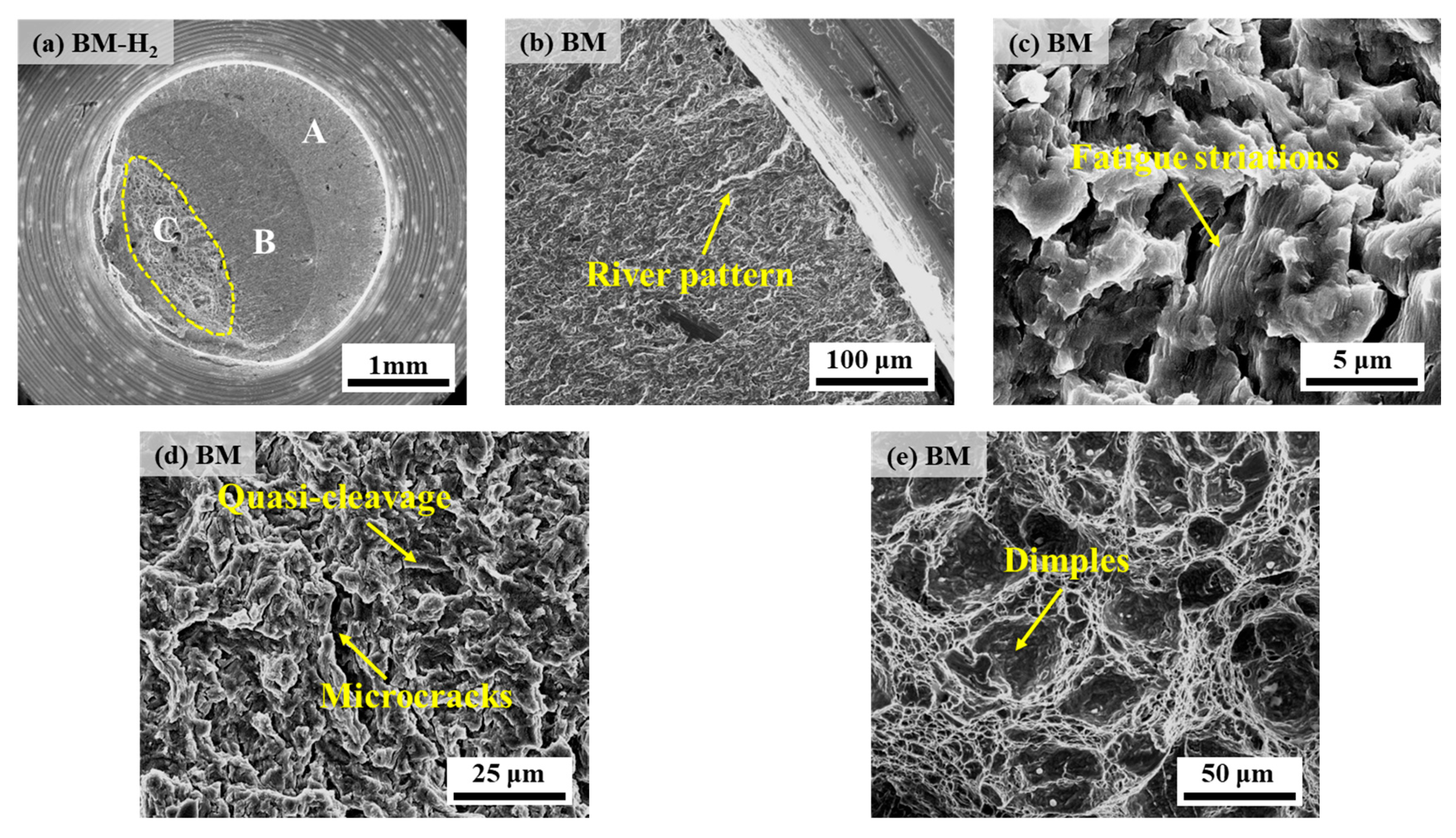 Materials 17 05818 g015