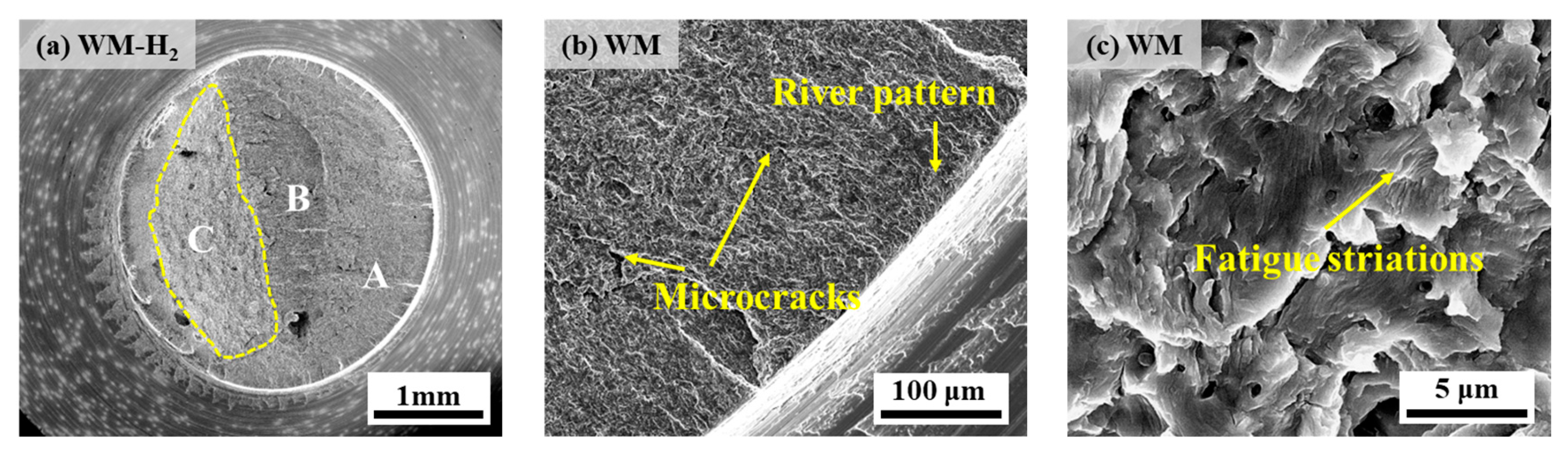 Materials 17 05818 g017a