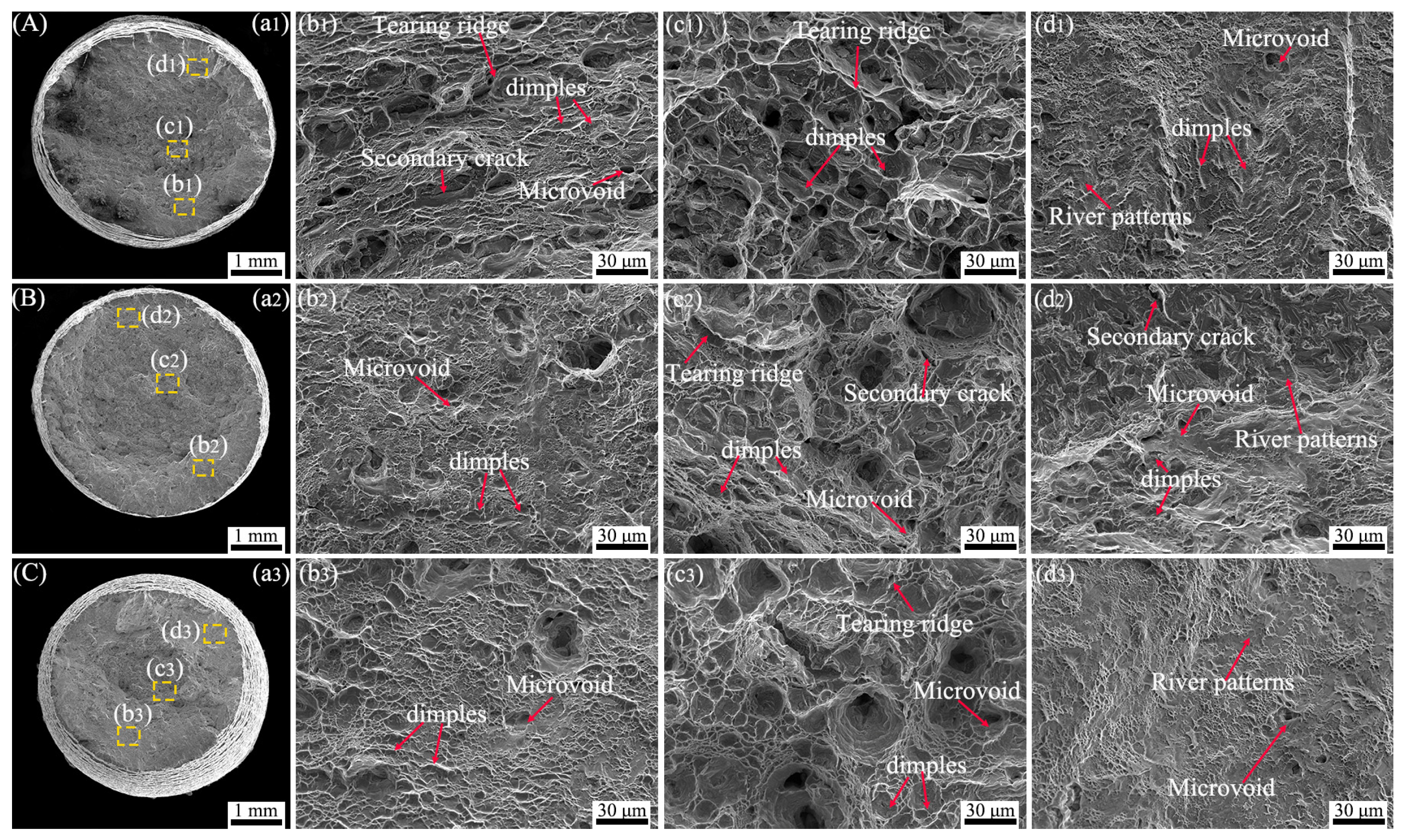 Materials 17 05821 g006