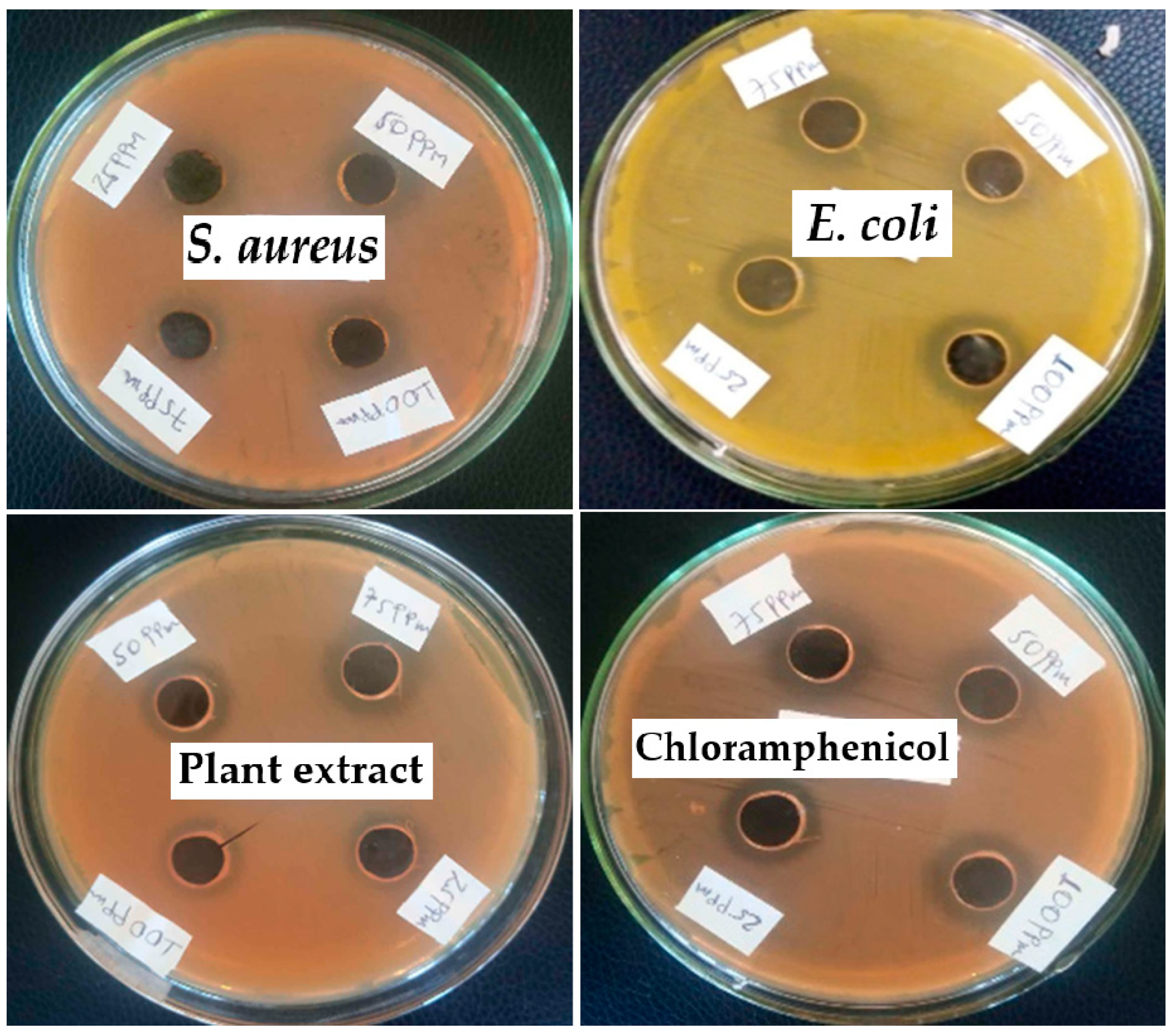 Materials 17 05835 g015 Materials 17 05835 g015
