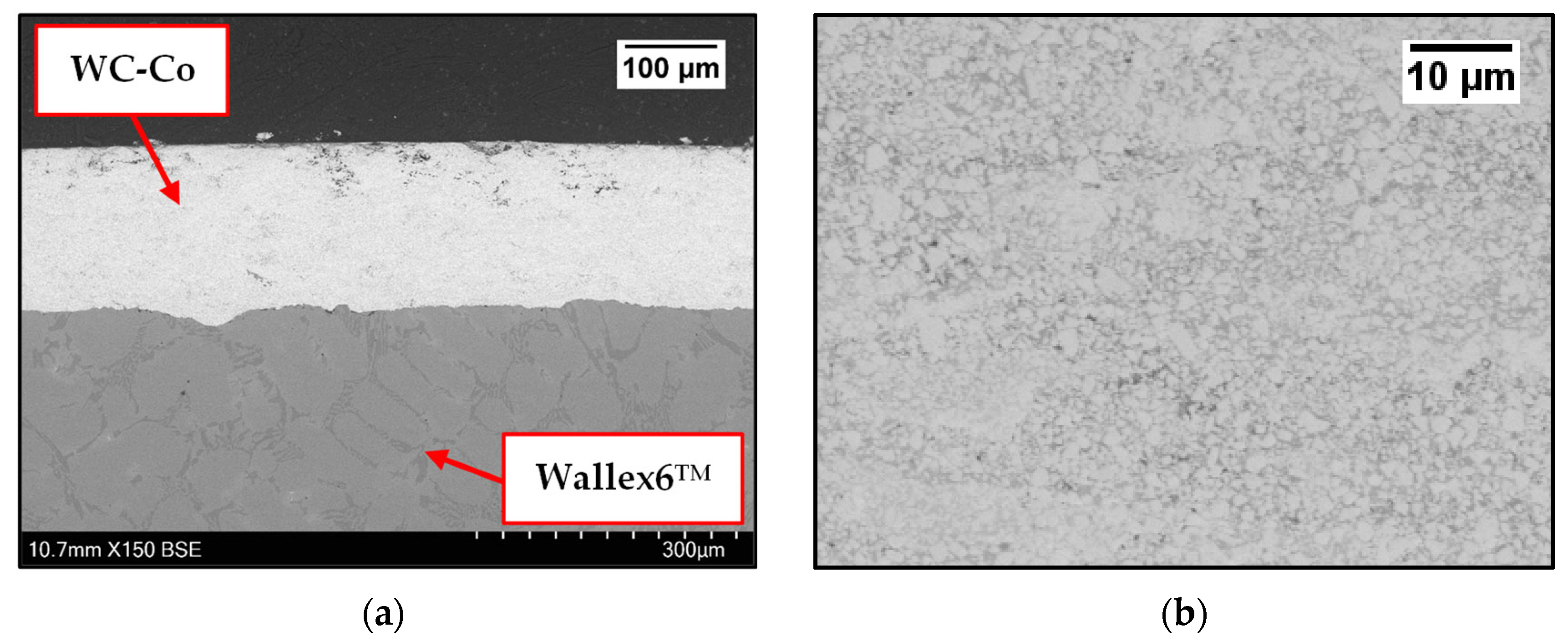 Materials 17 05837 g002