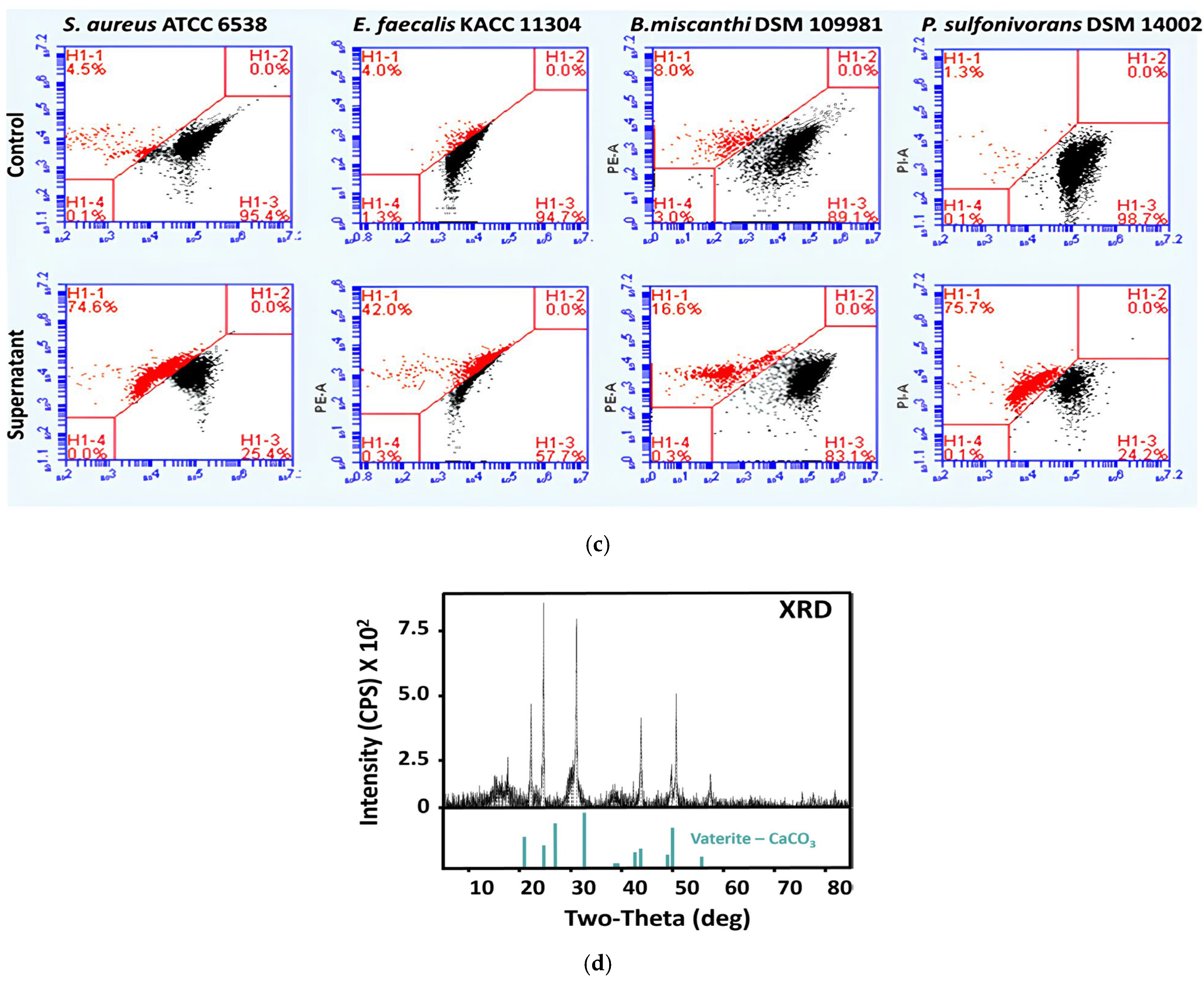 Materials 17 05846 g009b Materials 17 05846 g009b