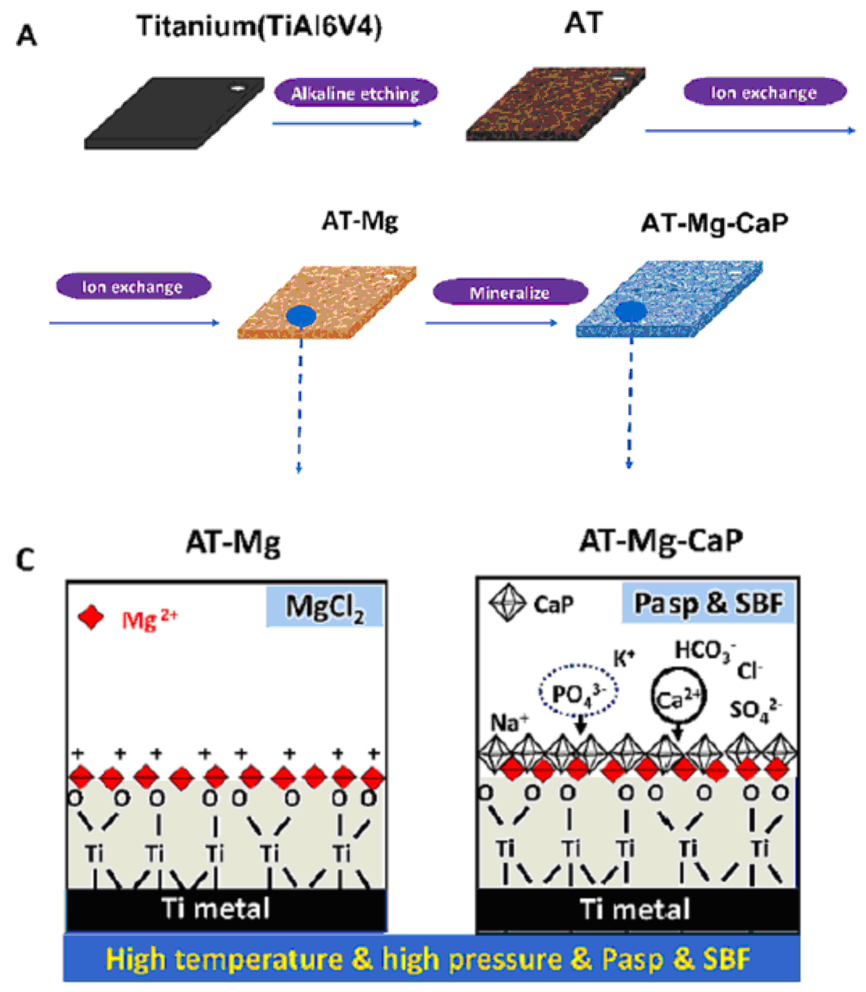 Materials 17 05847 g004a