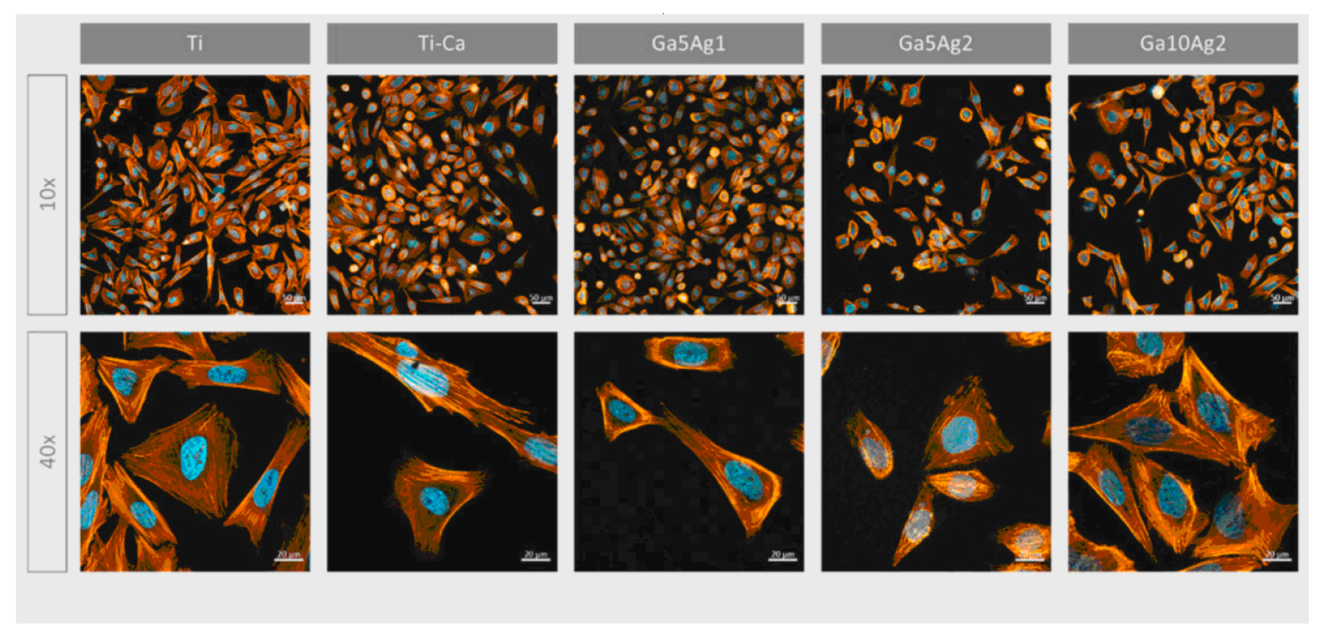 Materials 17 05847 g014