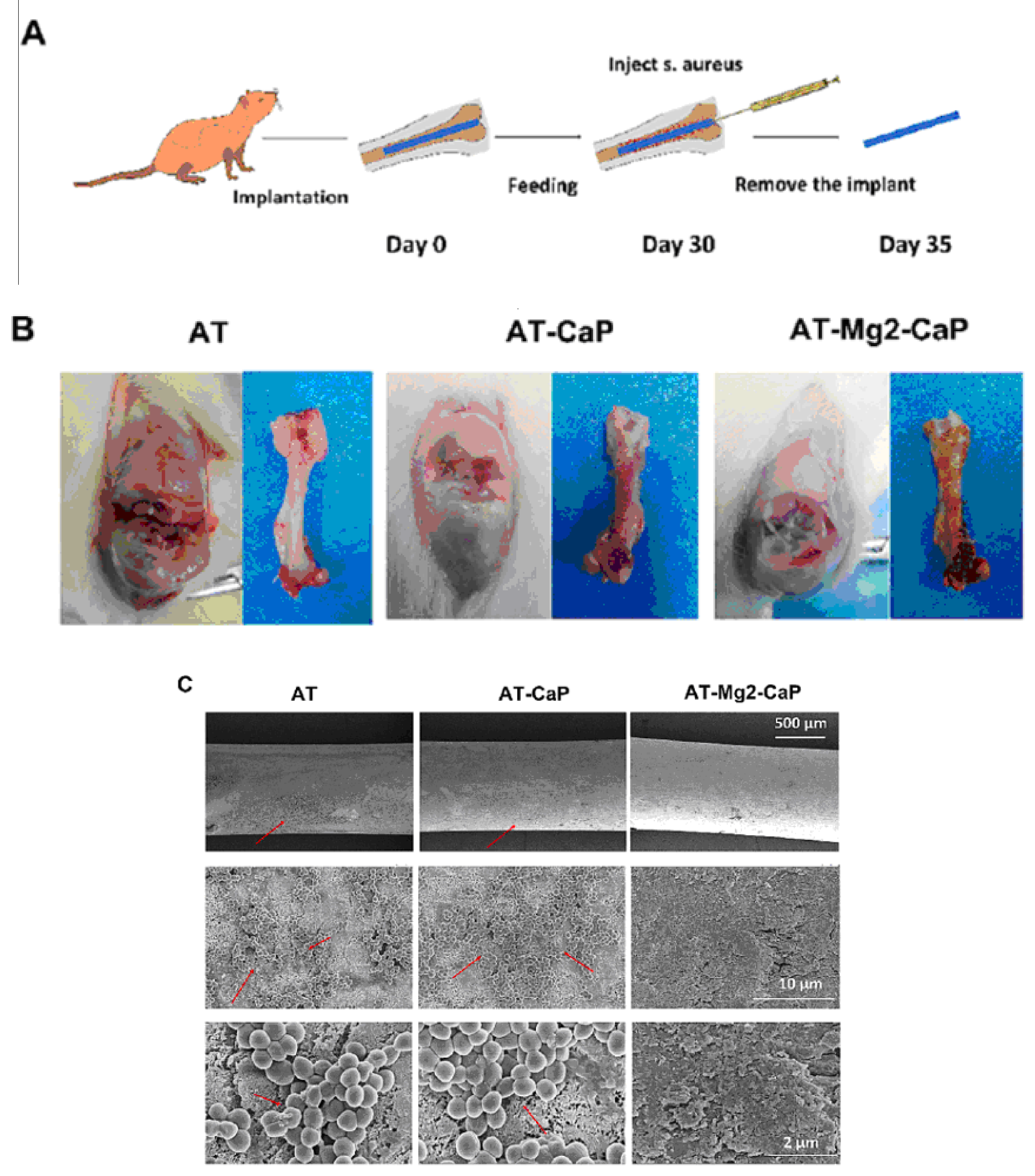 Materials 17 05847 g016a