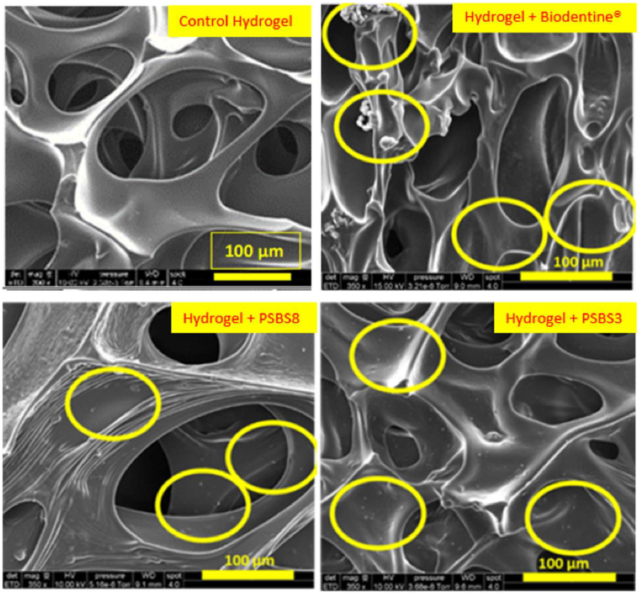 Materials 17 05862 g001