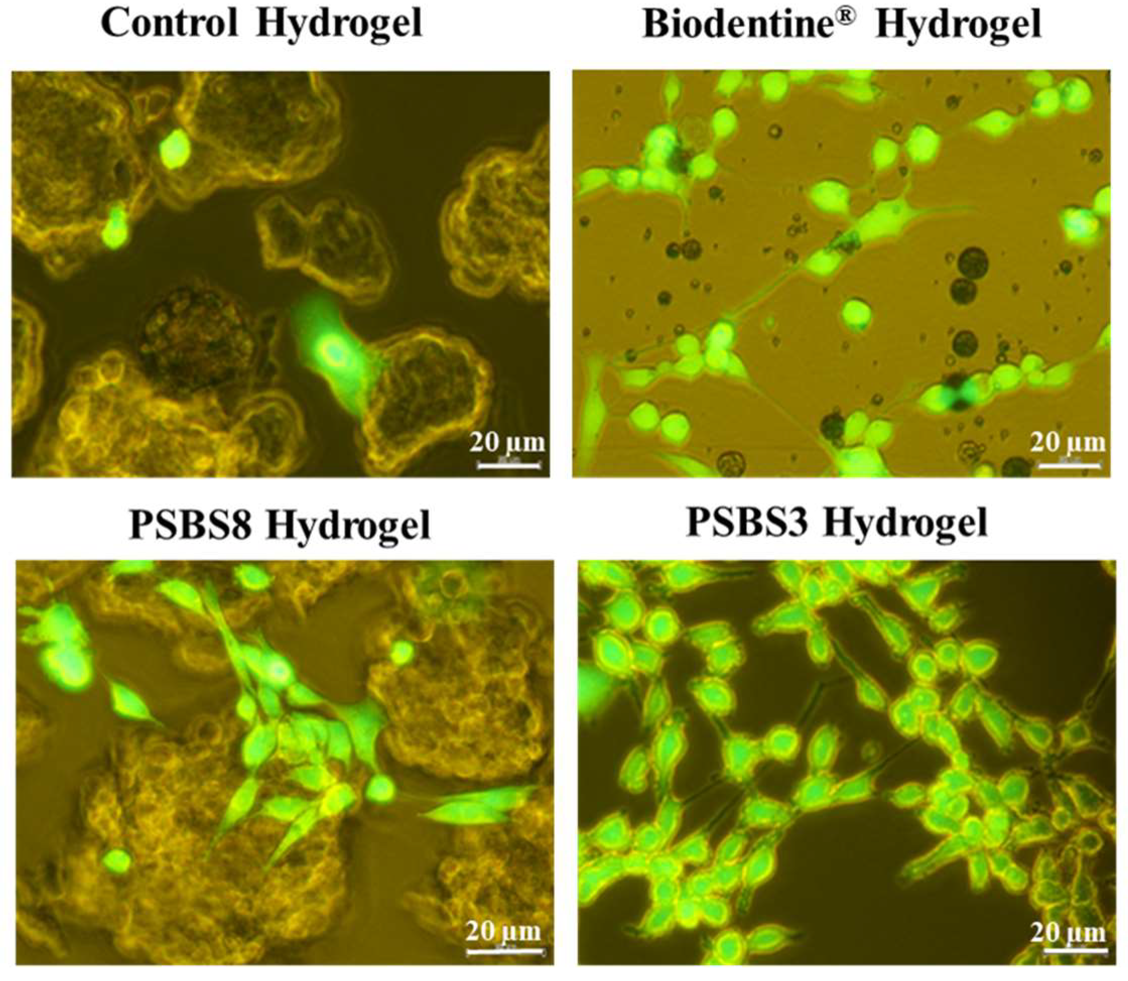 Materials 17 05862 g008