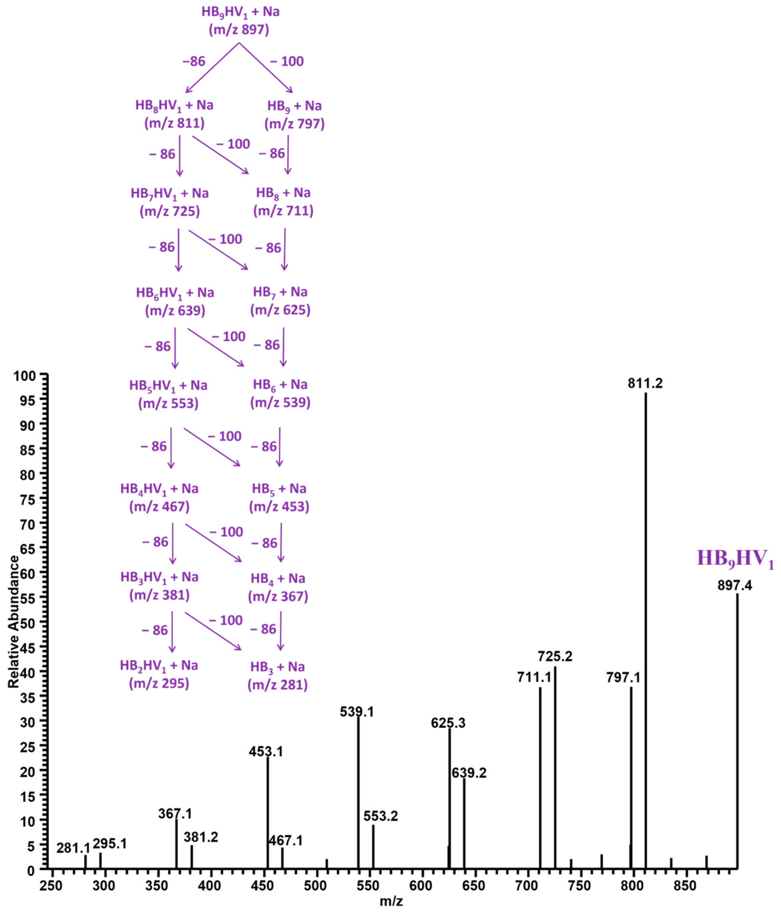 Materials 17 05863 g008