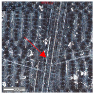 Materials 17 05870 i011