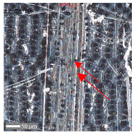 Materials 17 05870 i015