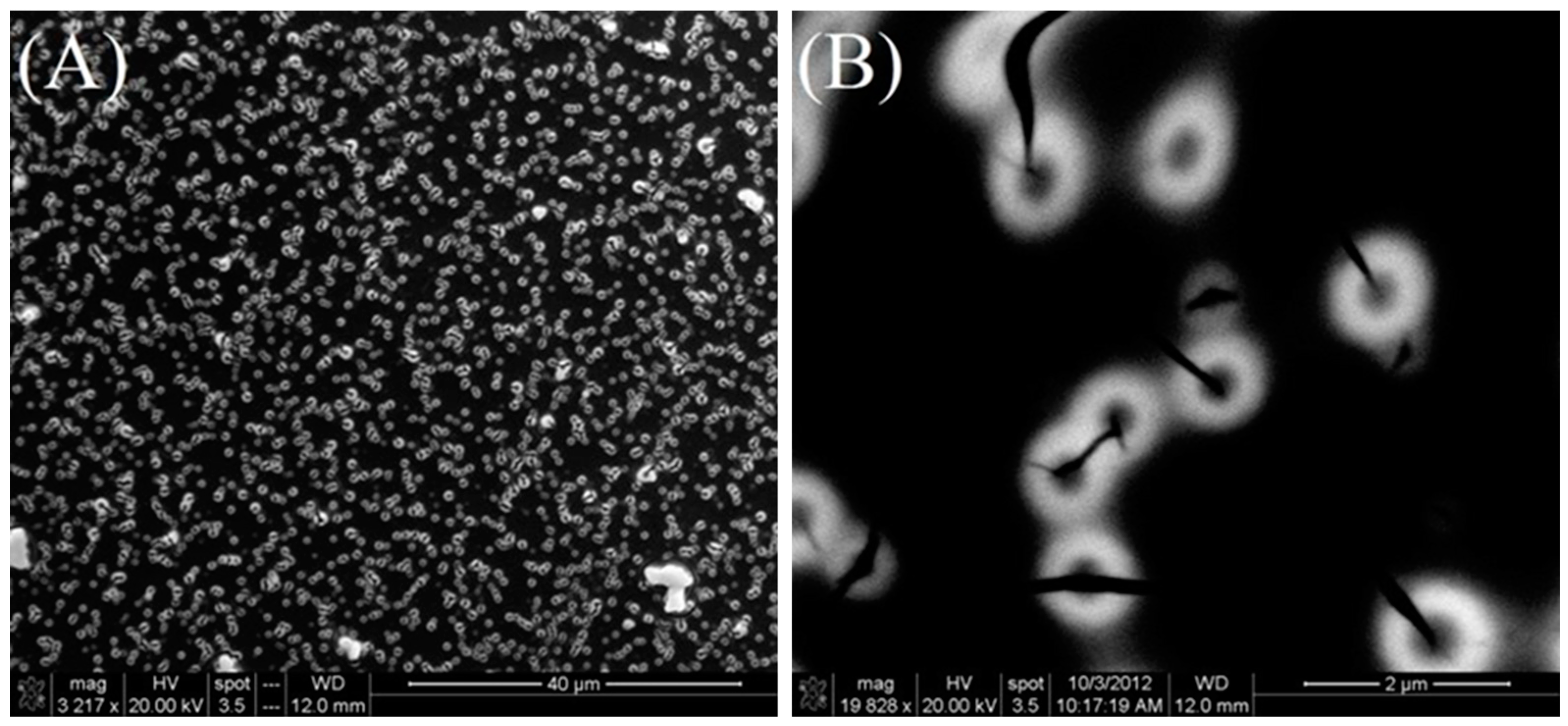 Materials 17 05887 g008