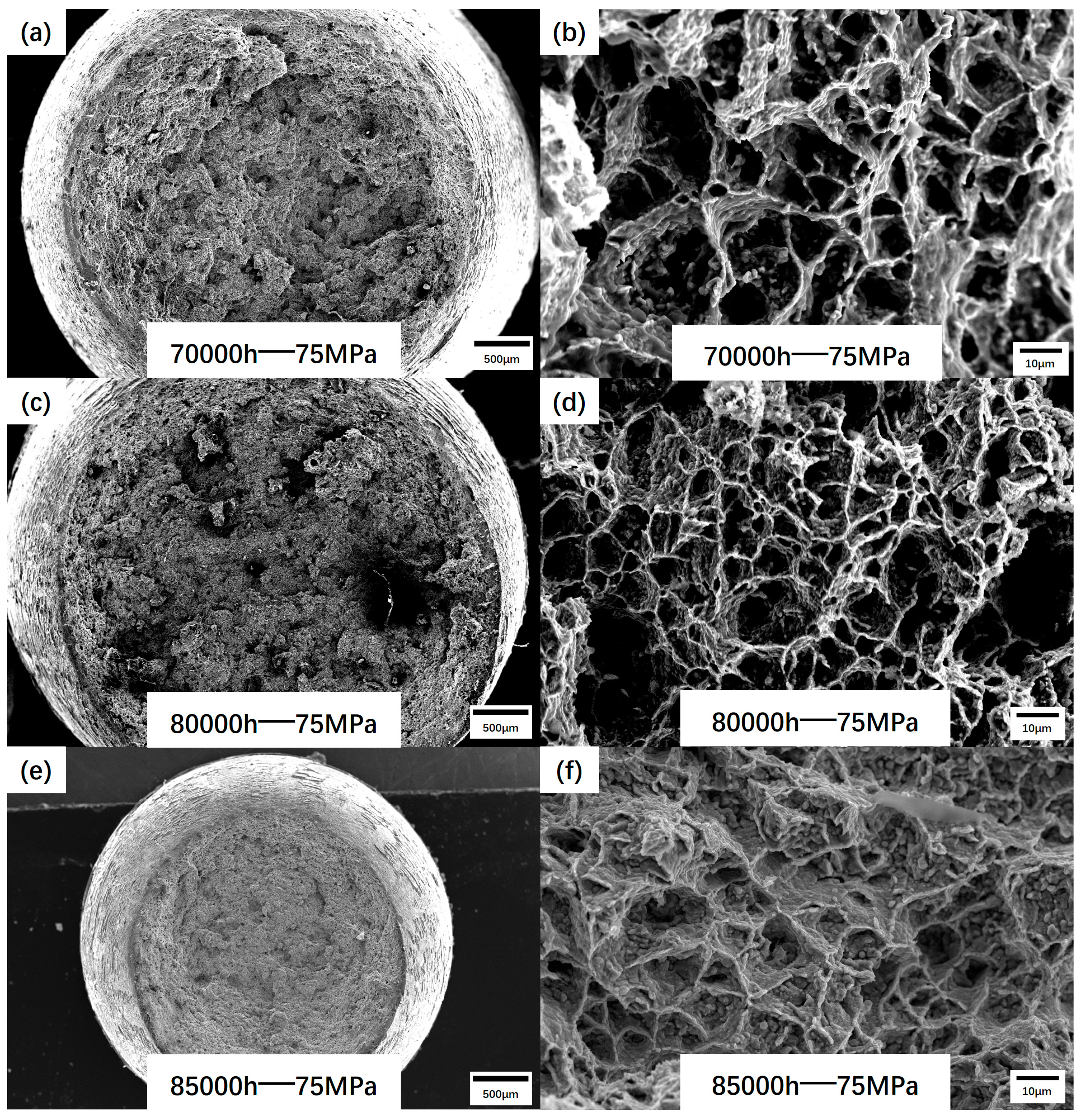 Materials 17 05888 g009