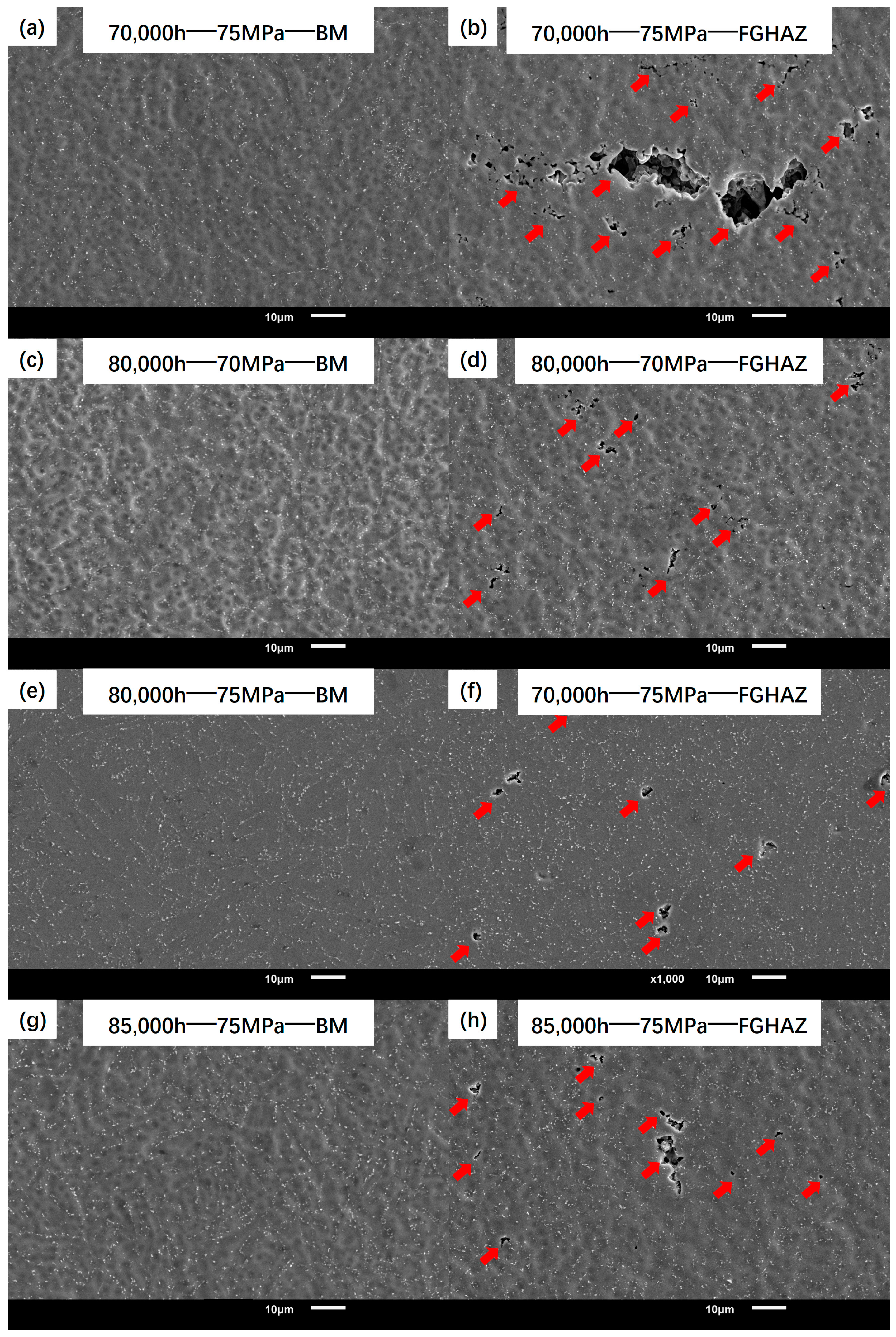 Materials 17 05888 g010