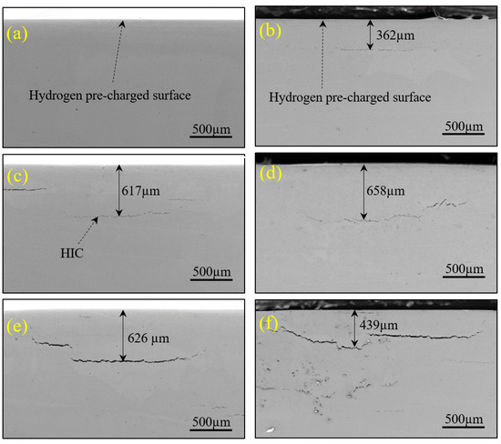 In Situ Ultrasonic Characterization of Hydrogen Damage Evolution
