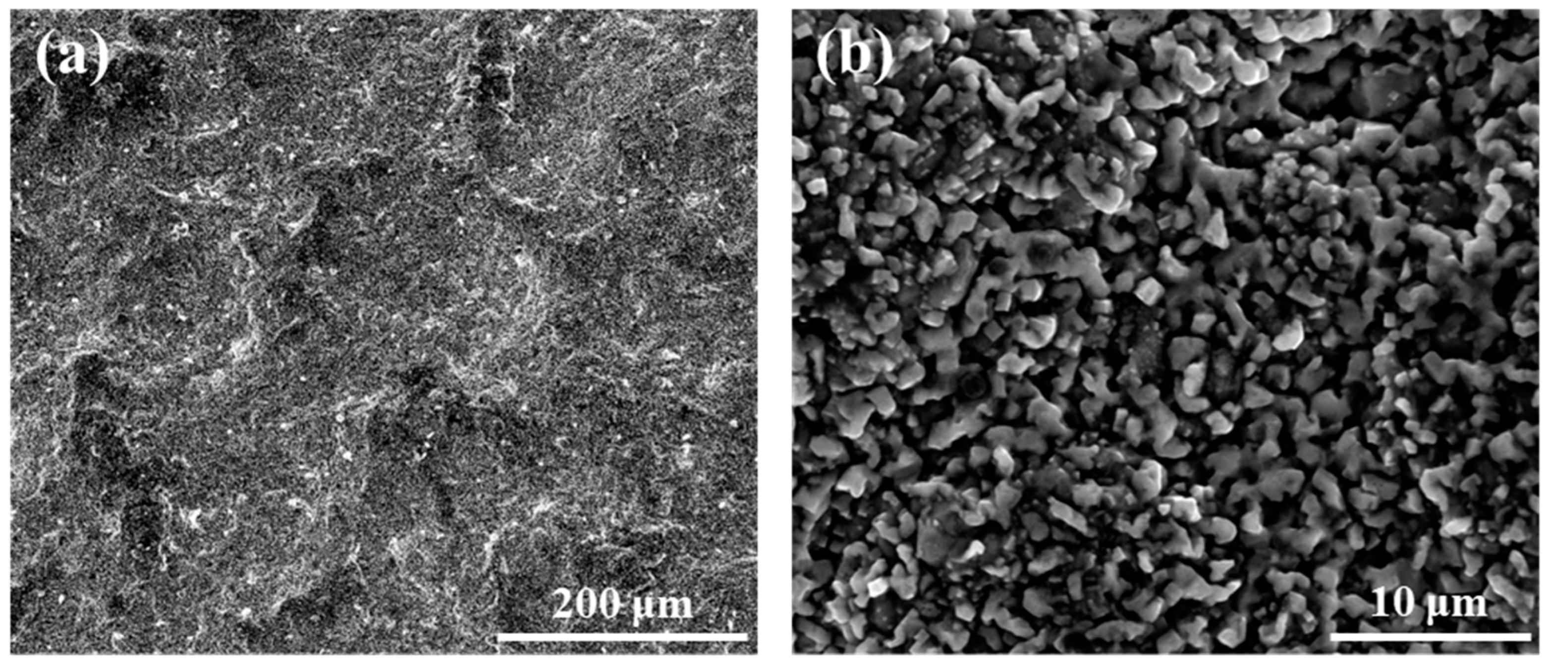 Materials 17 05897 g004