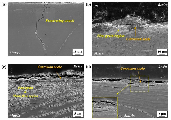 テスト Surface-Grinding-Induced Recrystallization and Metal Flow