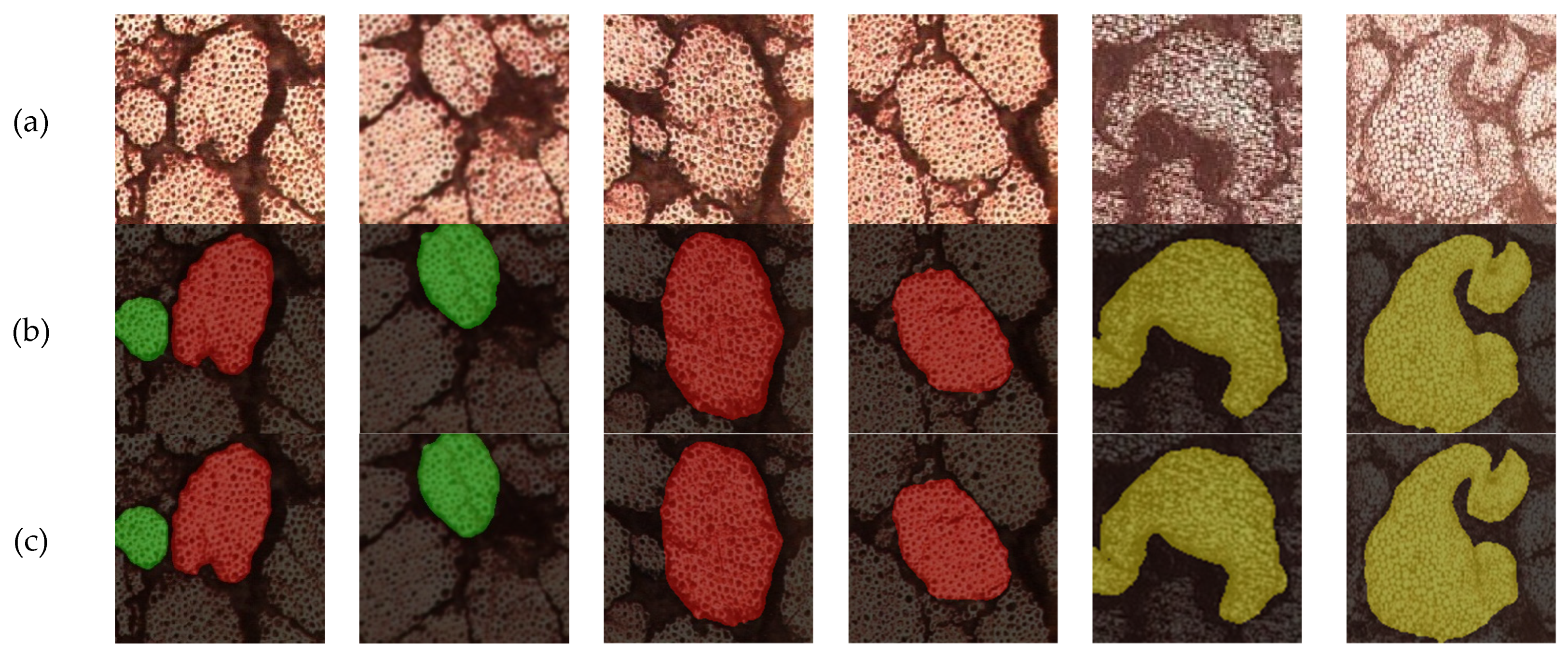 Materials 17 05942 g006