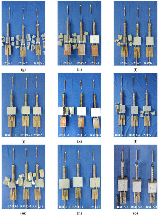 20セット Fluorescent probes - illuminate the interplay network