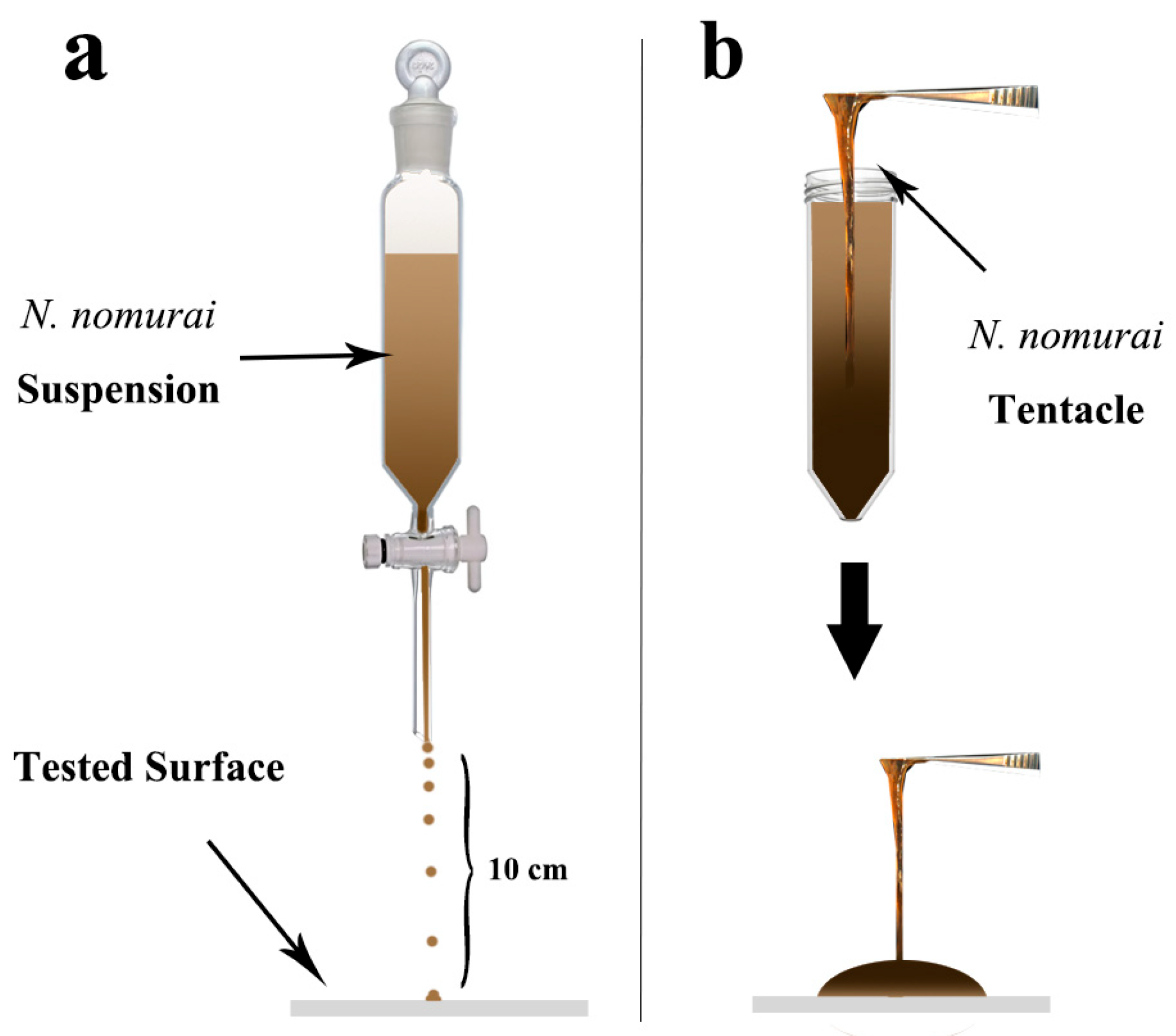 Materials 17 05983 g002