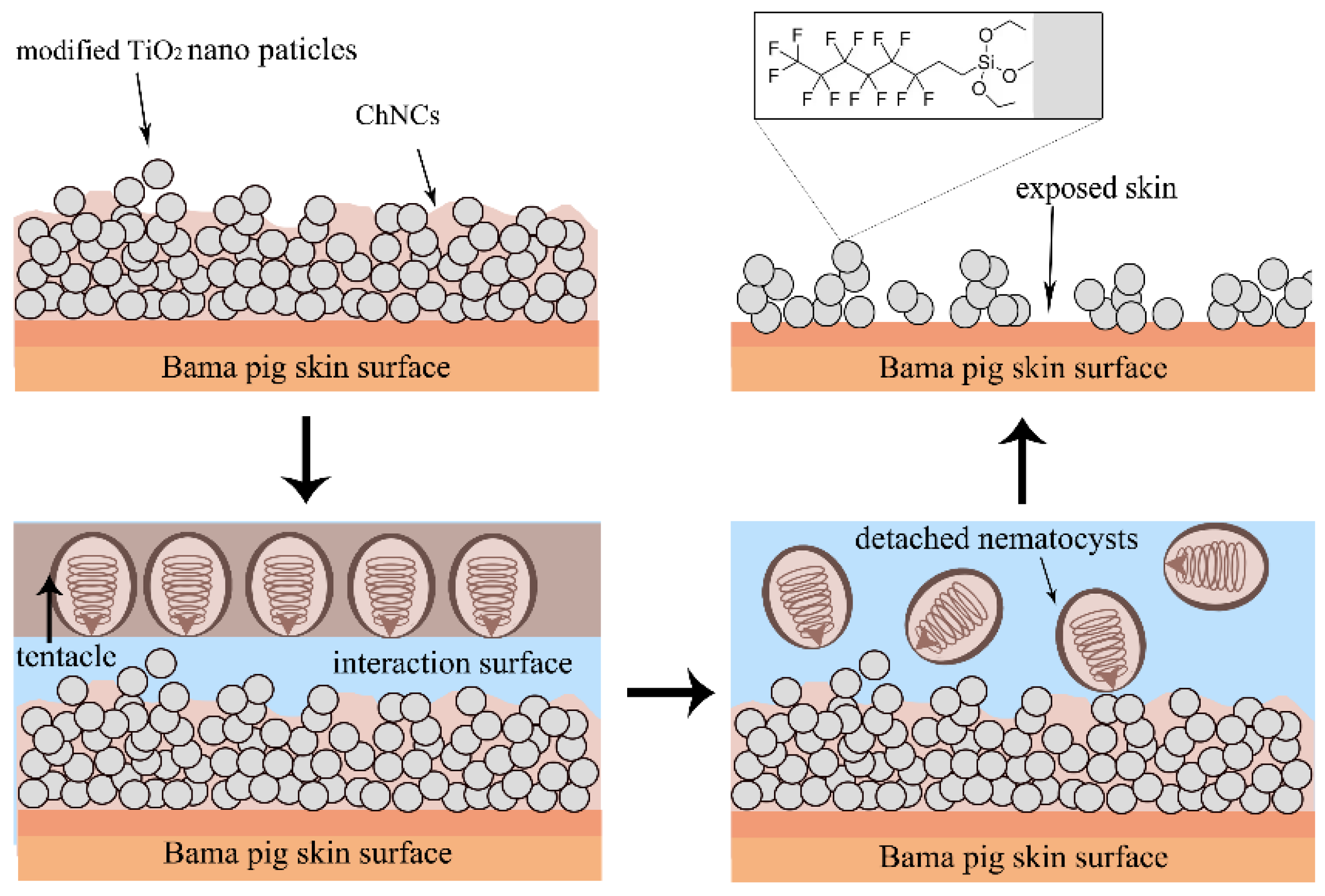 Materials 17 05983 g009