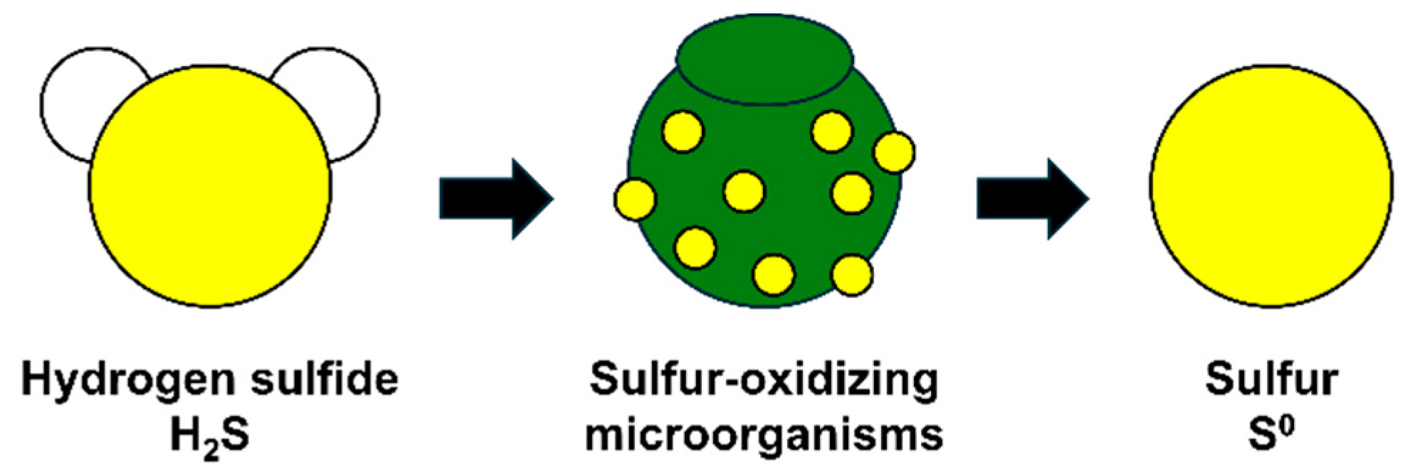 Materials 17 06016 g002 Materials 17 06016 g002