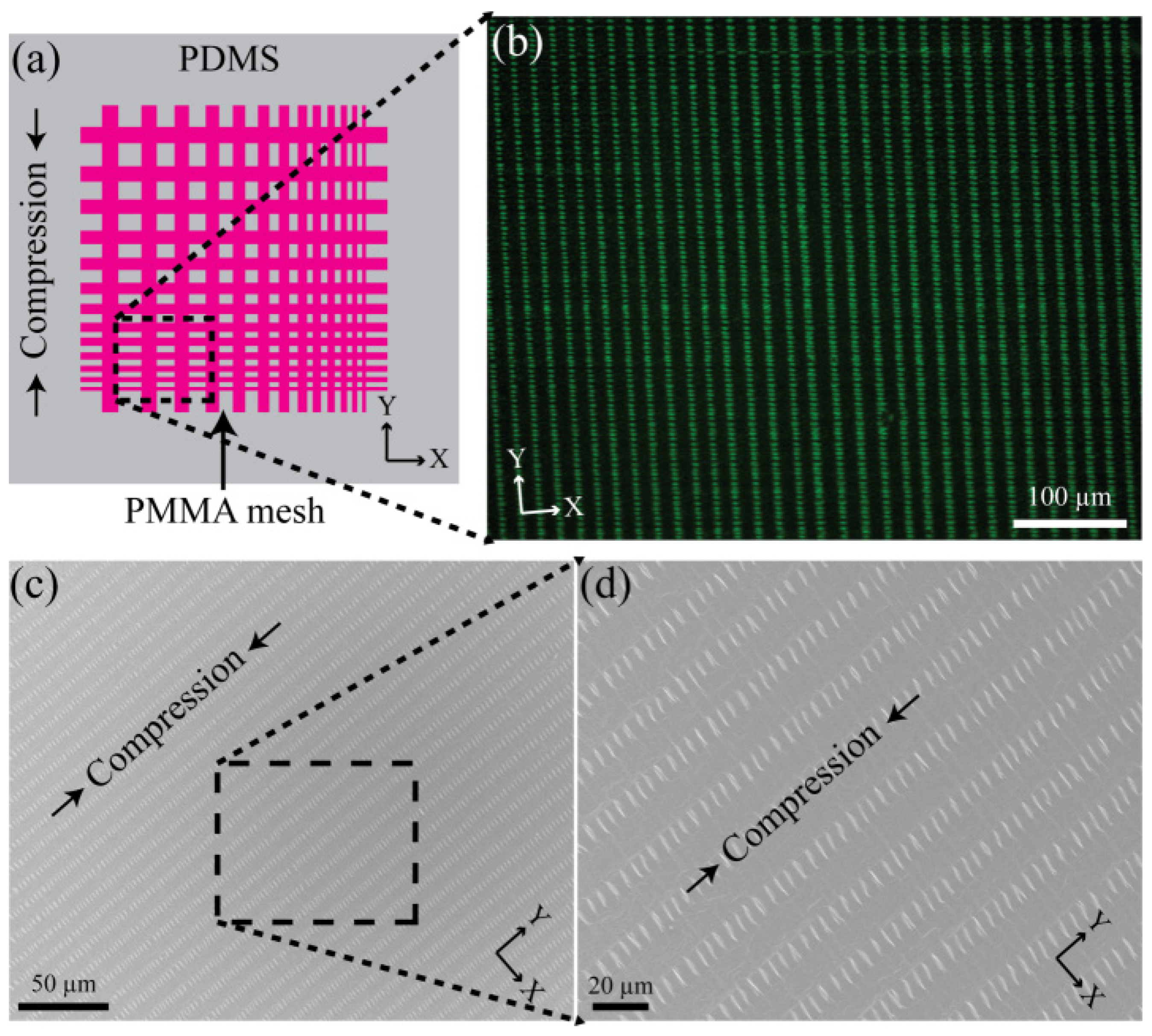 Materials 17 06035 g005