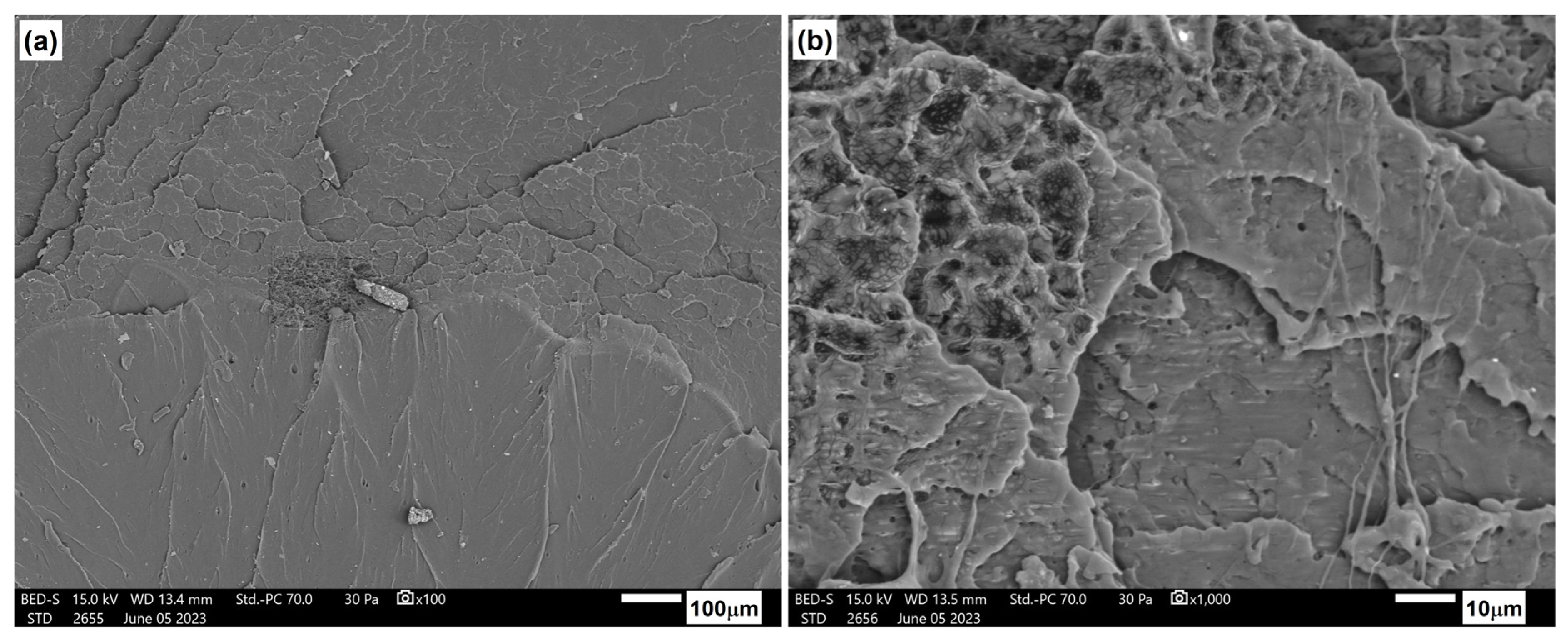 Materials 17 06036 g025