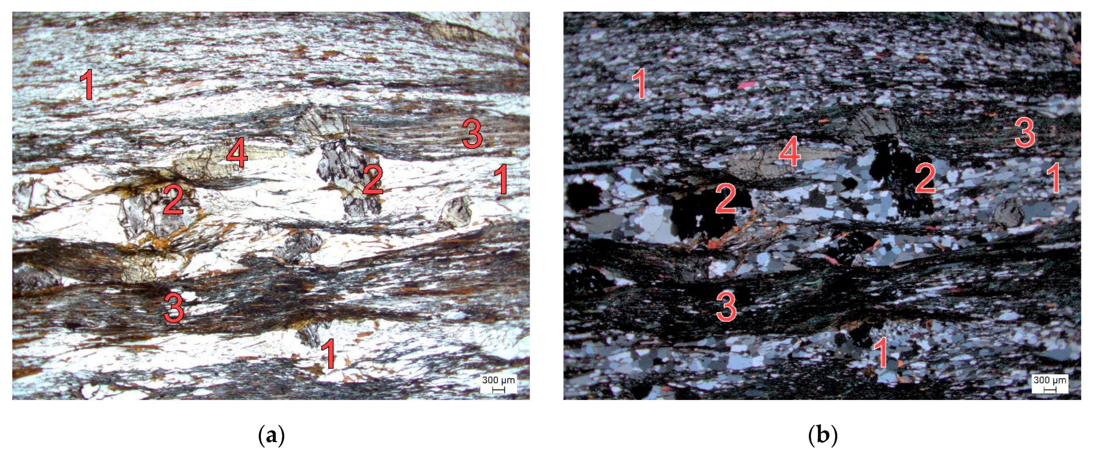 Materials 17 06044 g001