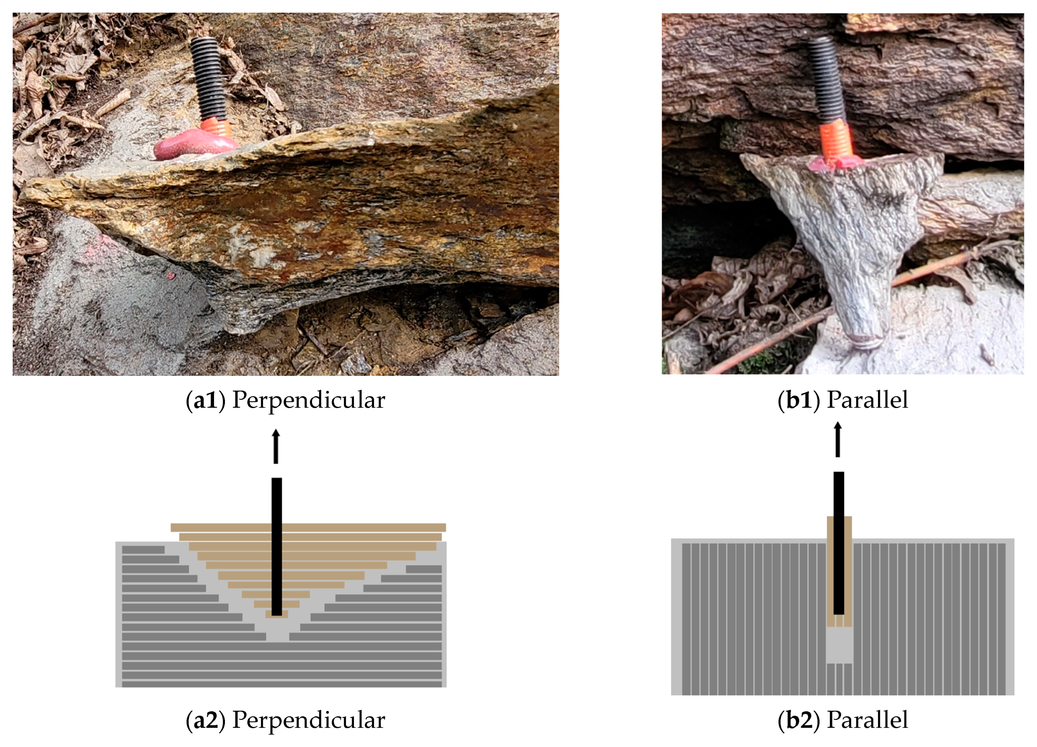 Materials 17 06044 g007
