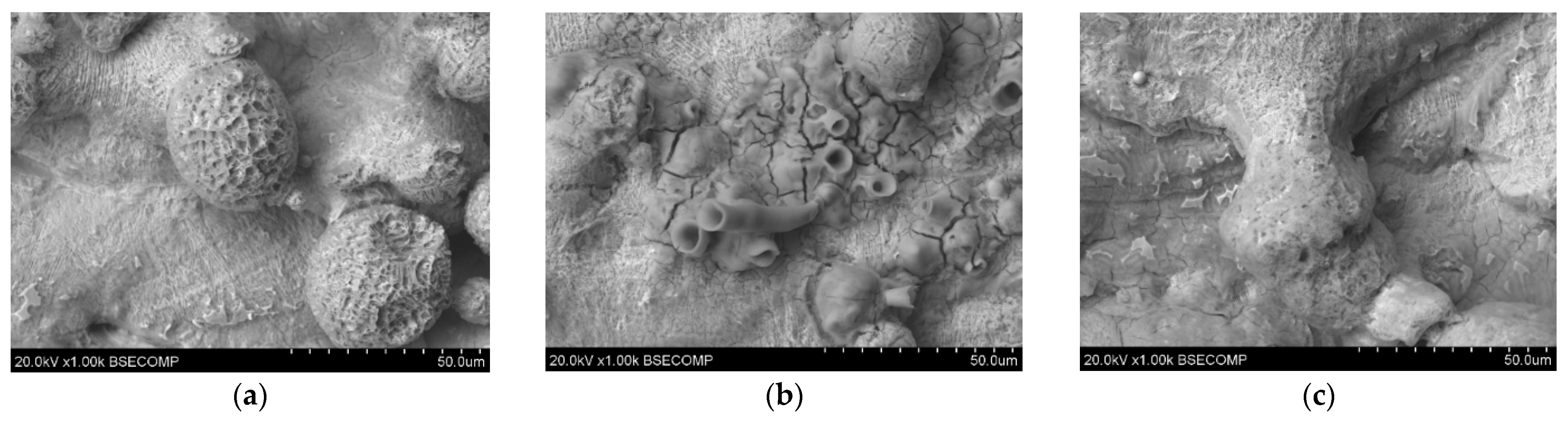 Materials 17 06047 g007