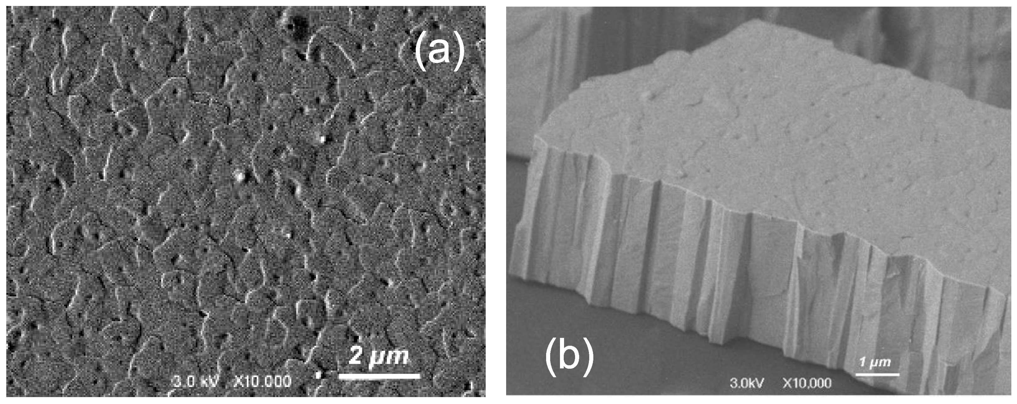 Materials 17 06058 g003