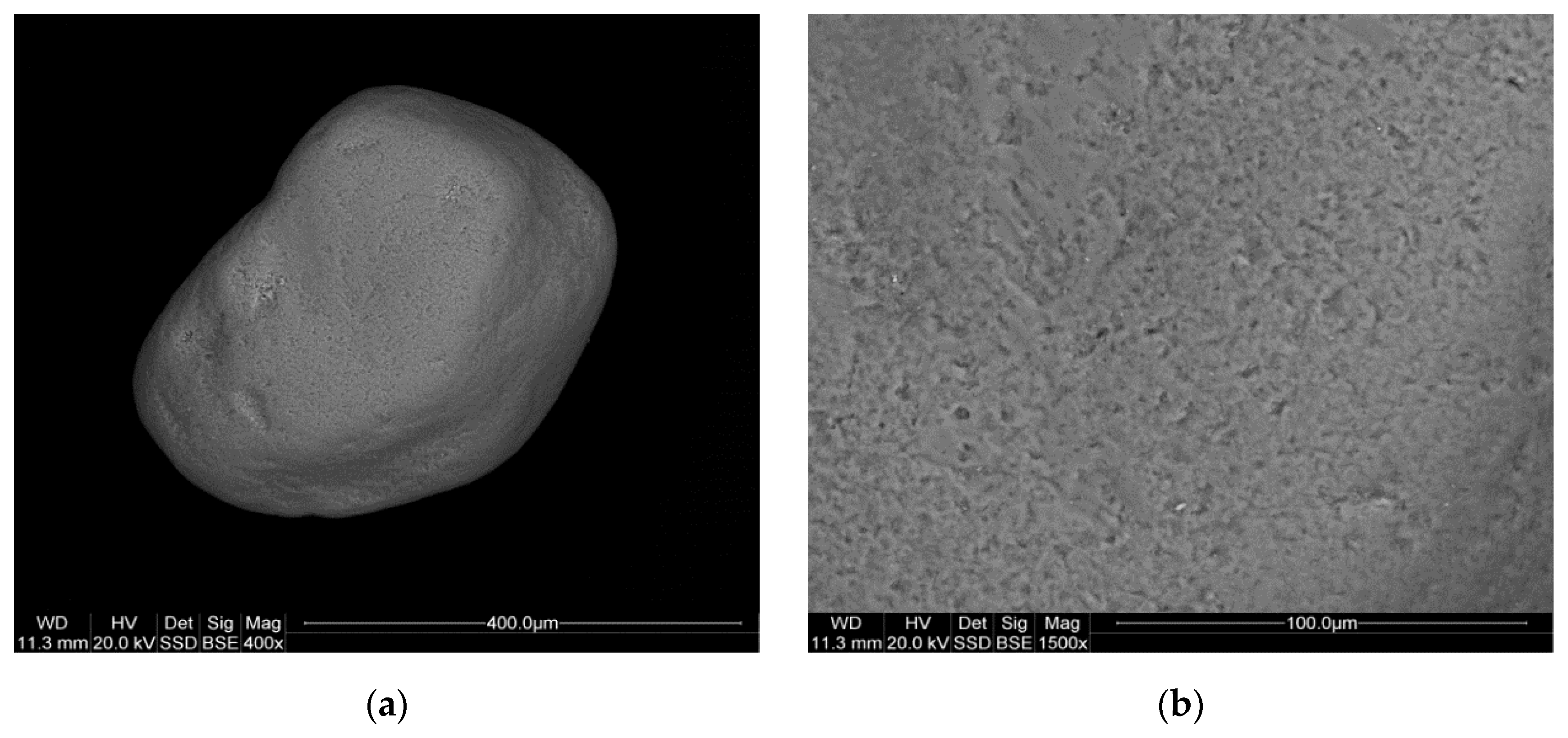 Materials 17 06068 g007a