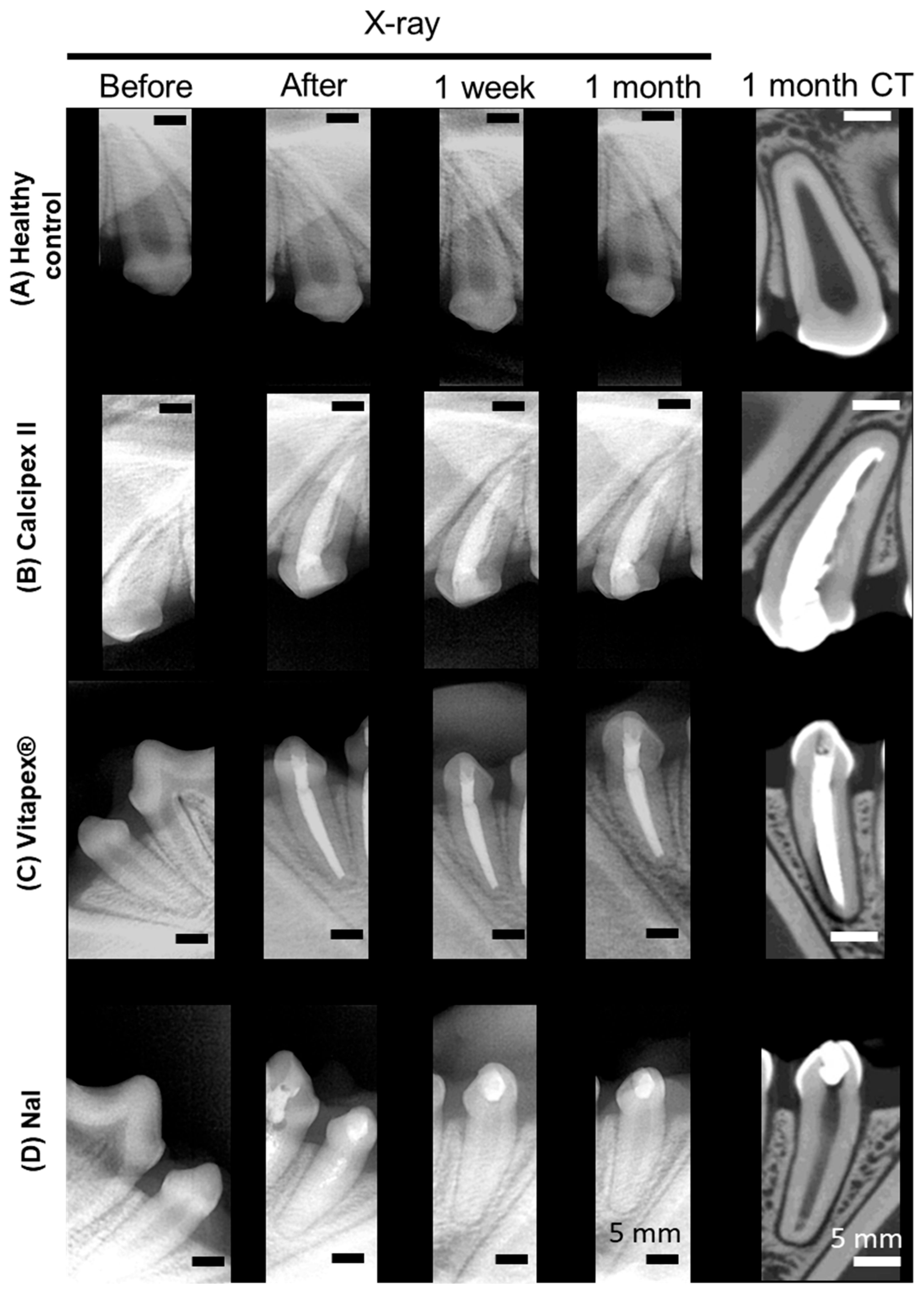 Materials 17 06082 g002