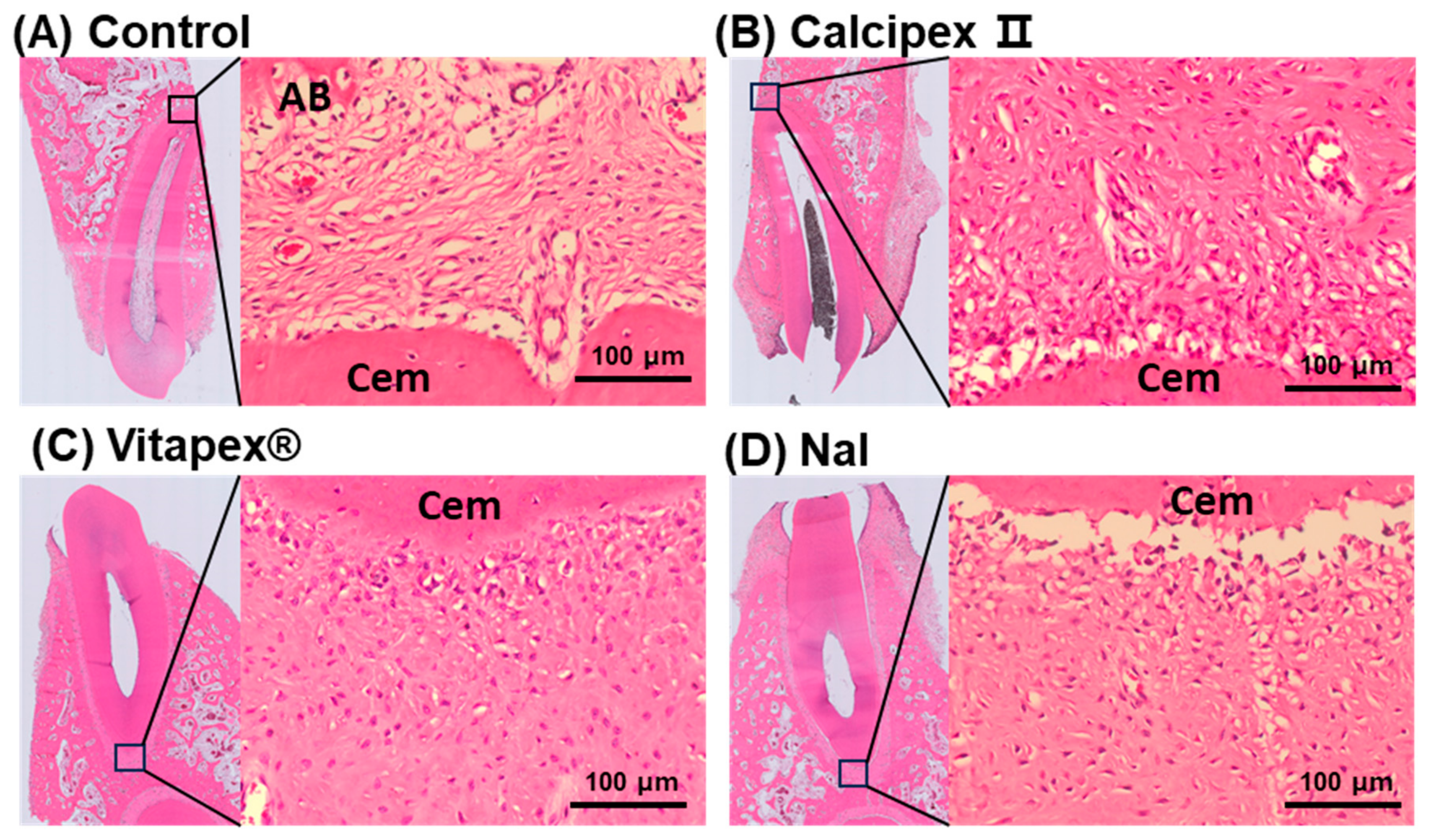 Materials 17 06082 g004