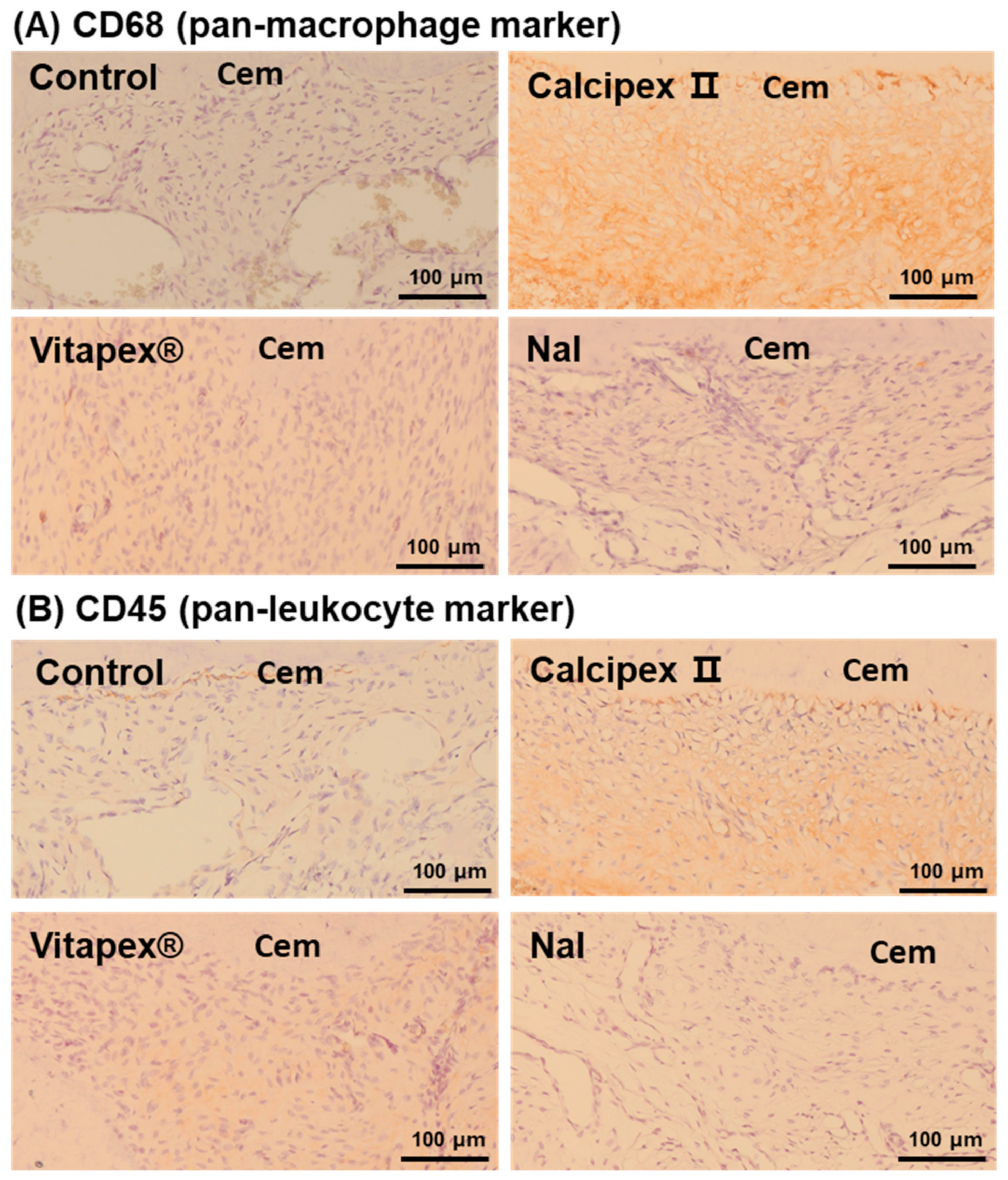 Materials 17 06082 g006