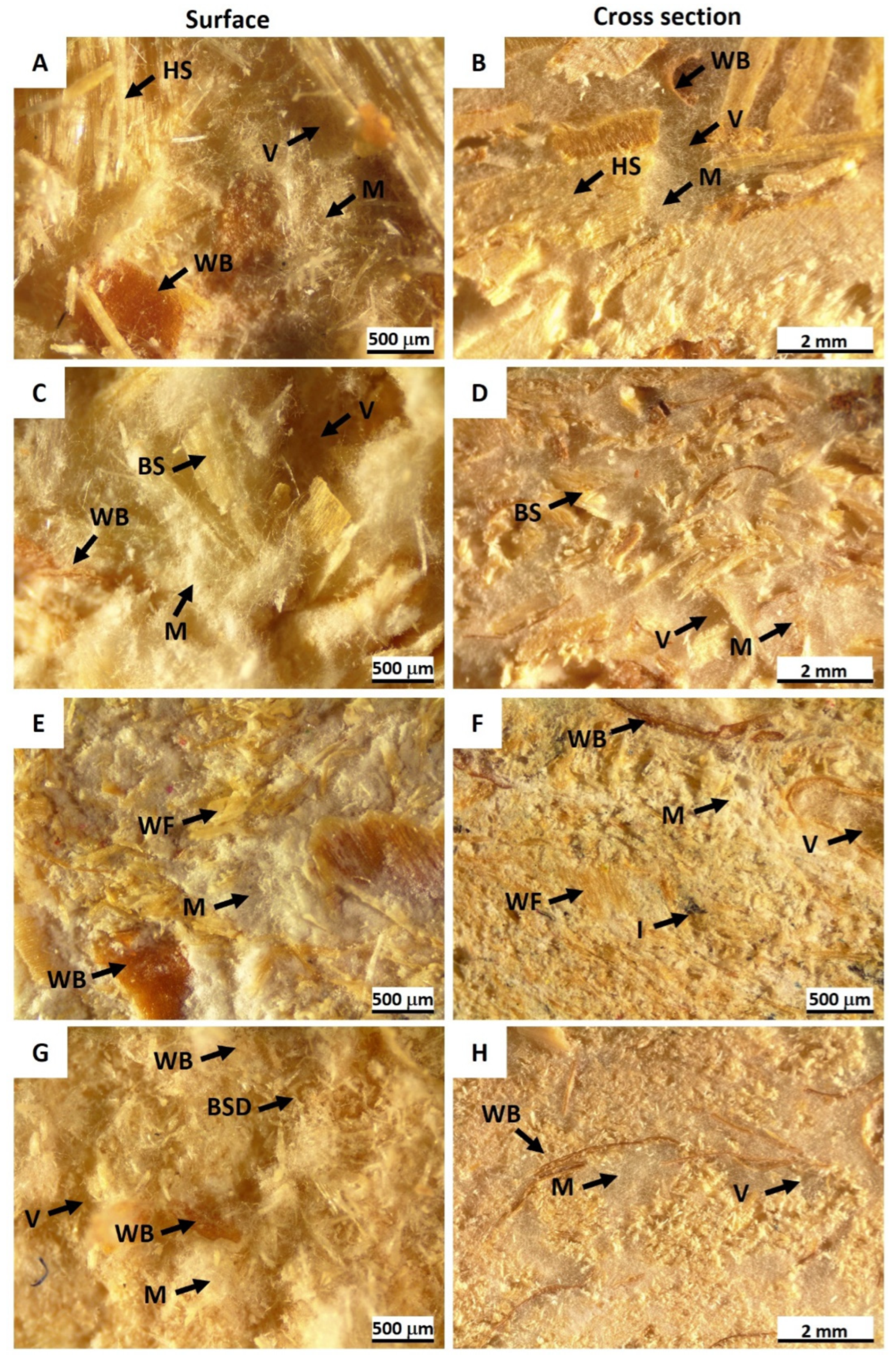 Materials 17 06111 g004