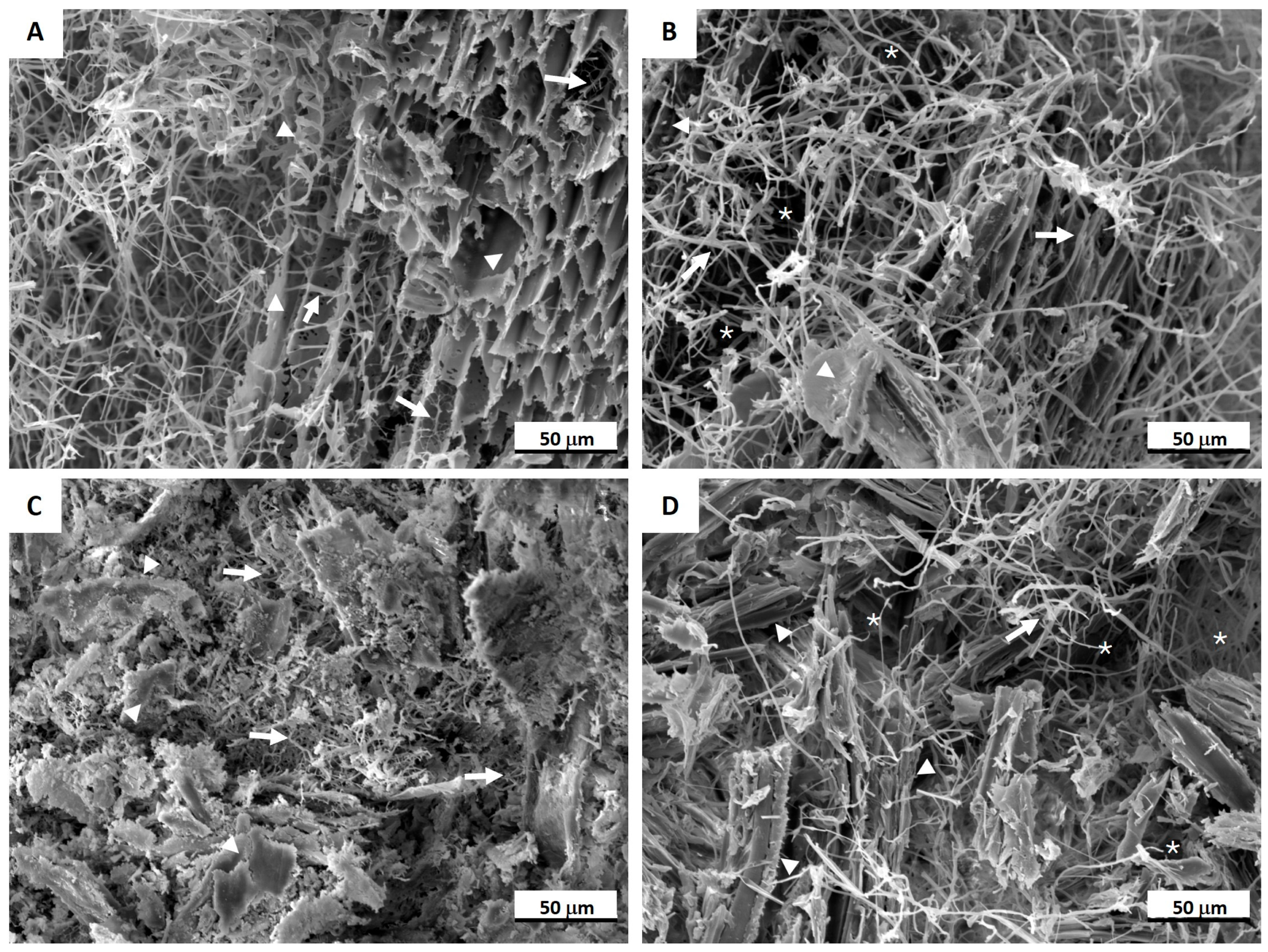 Materials 17 06111 g005