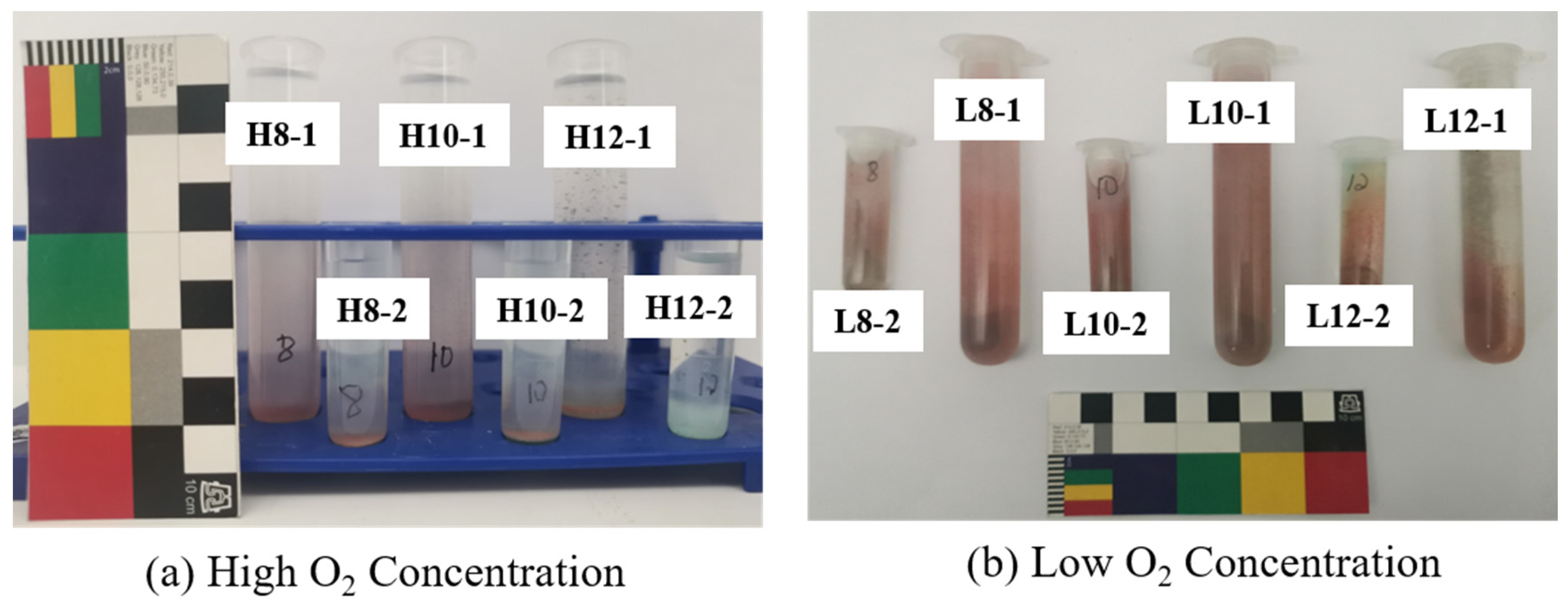 Materials 17 06126 g002