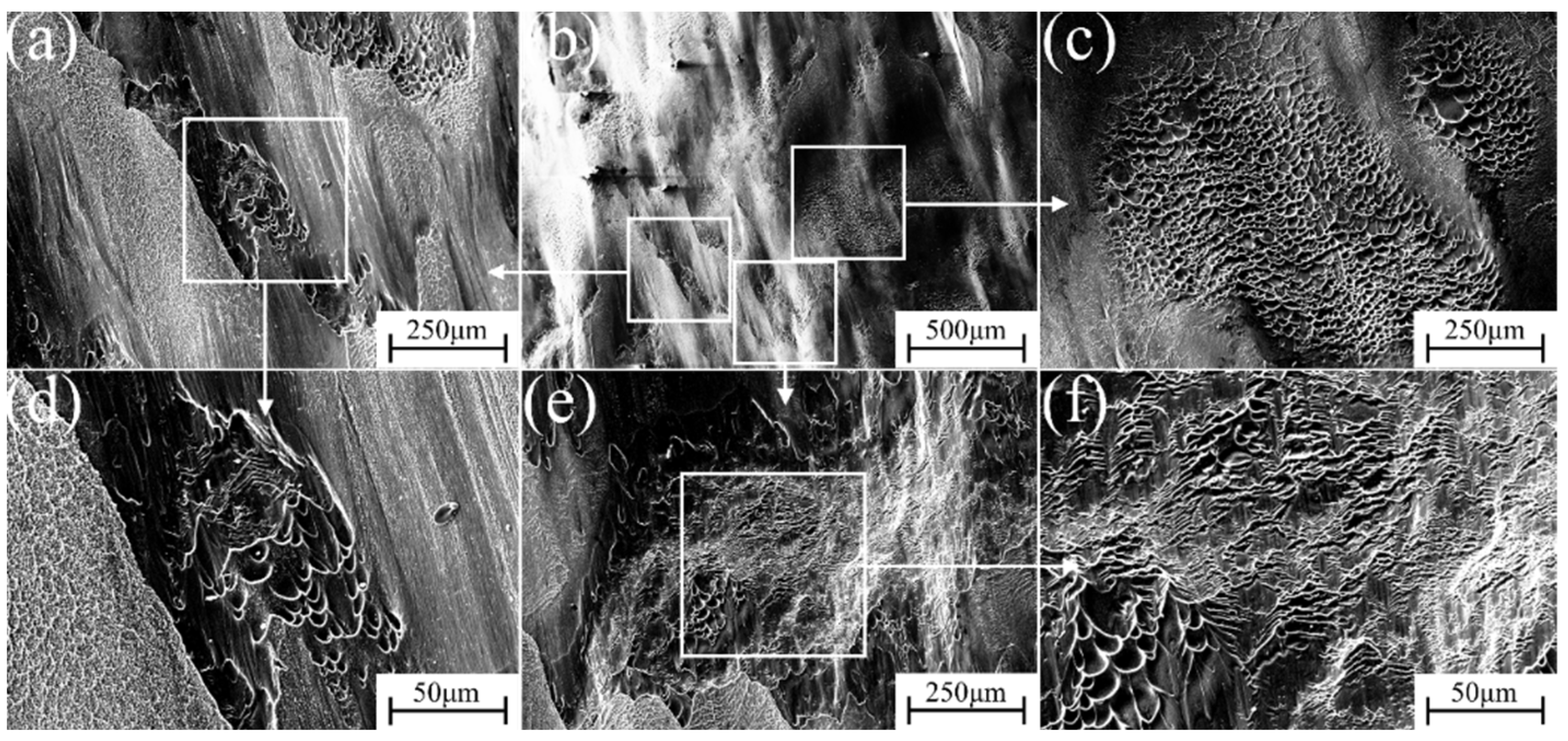 Materials 17 06145 g015