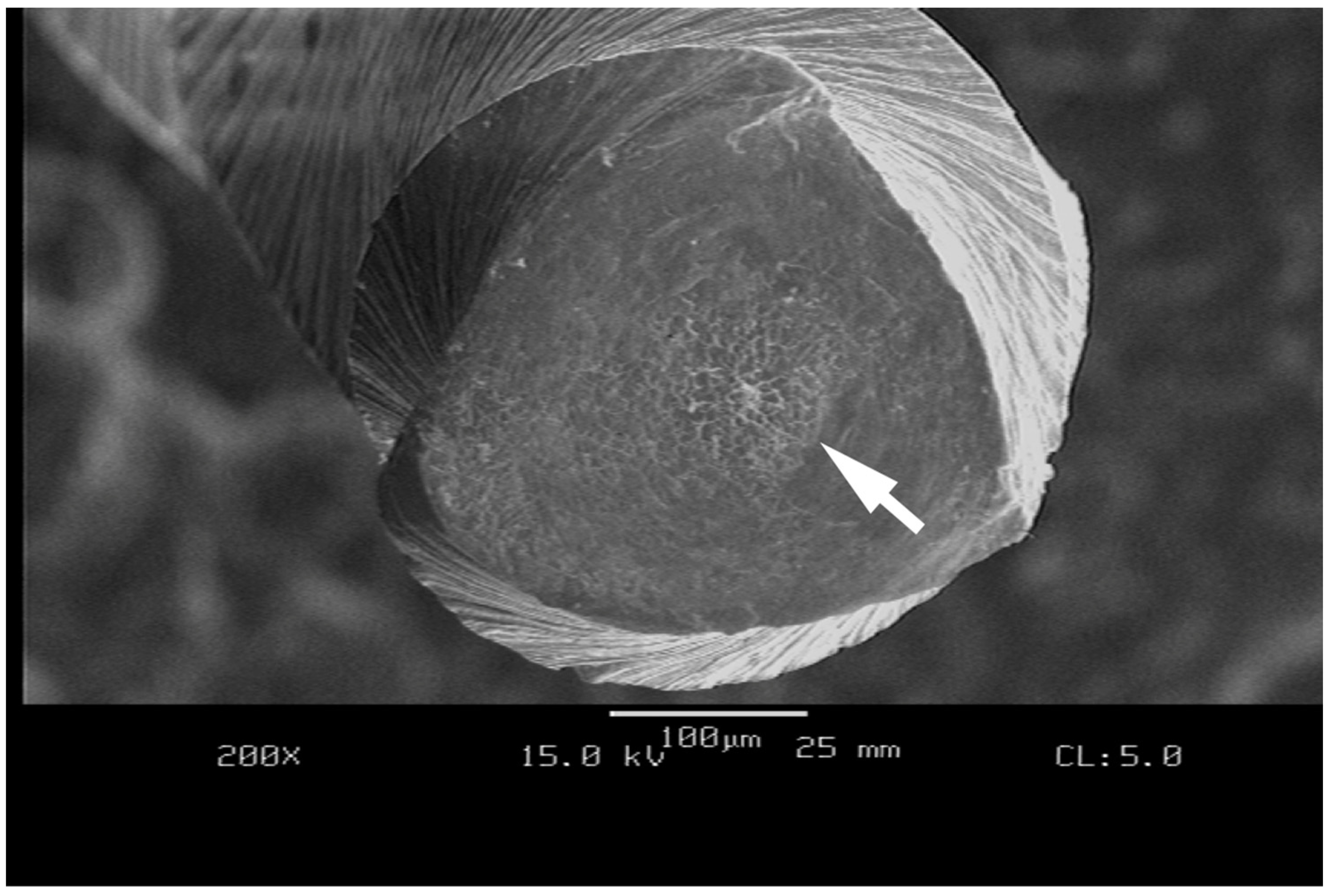 Materials 17 06147 g005 Materials 17 06147 g005