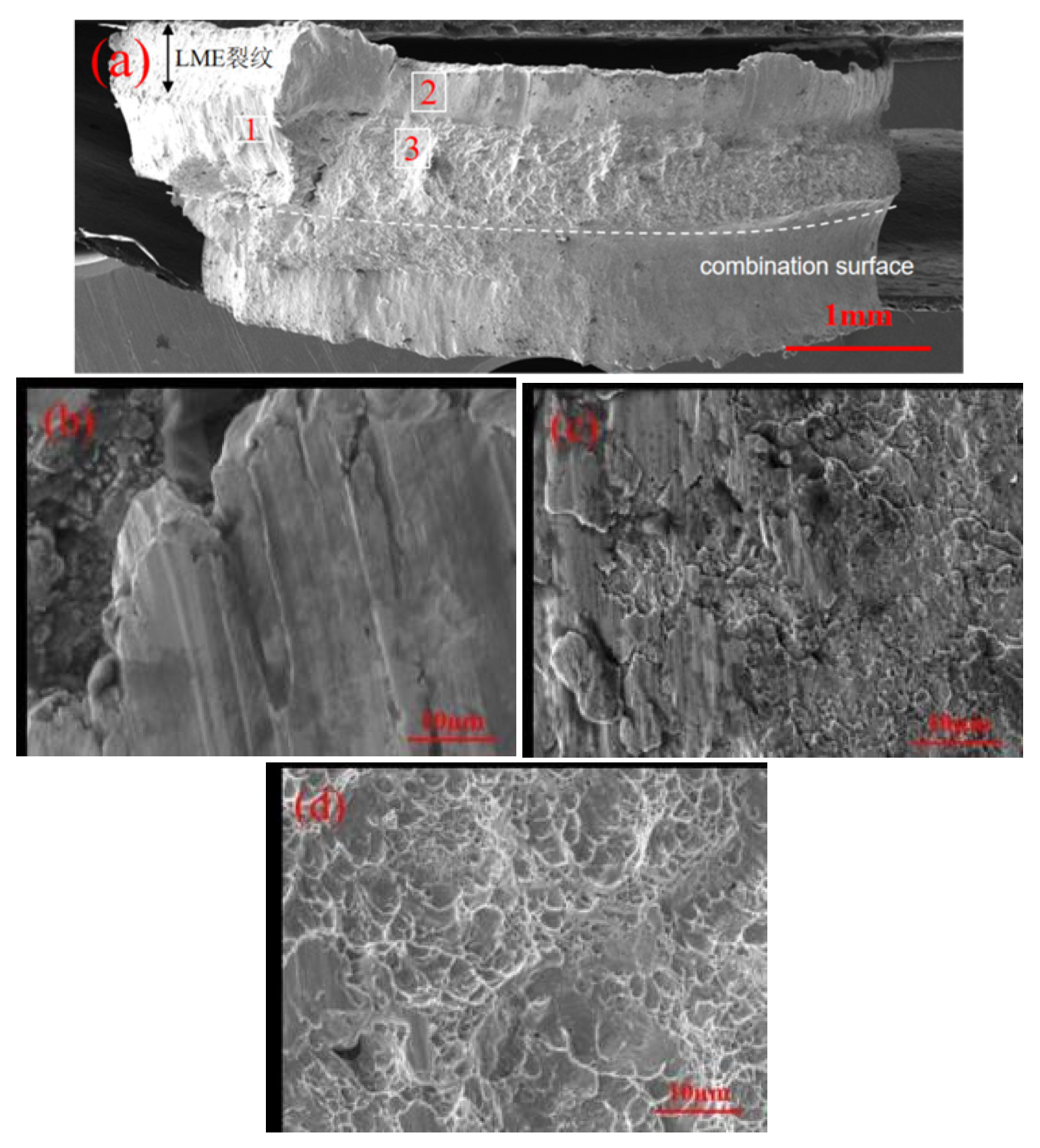 Materials 17 06149 g019