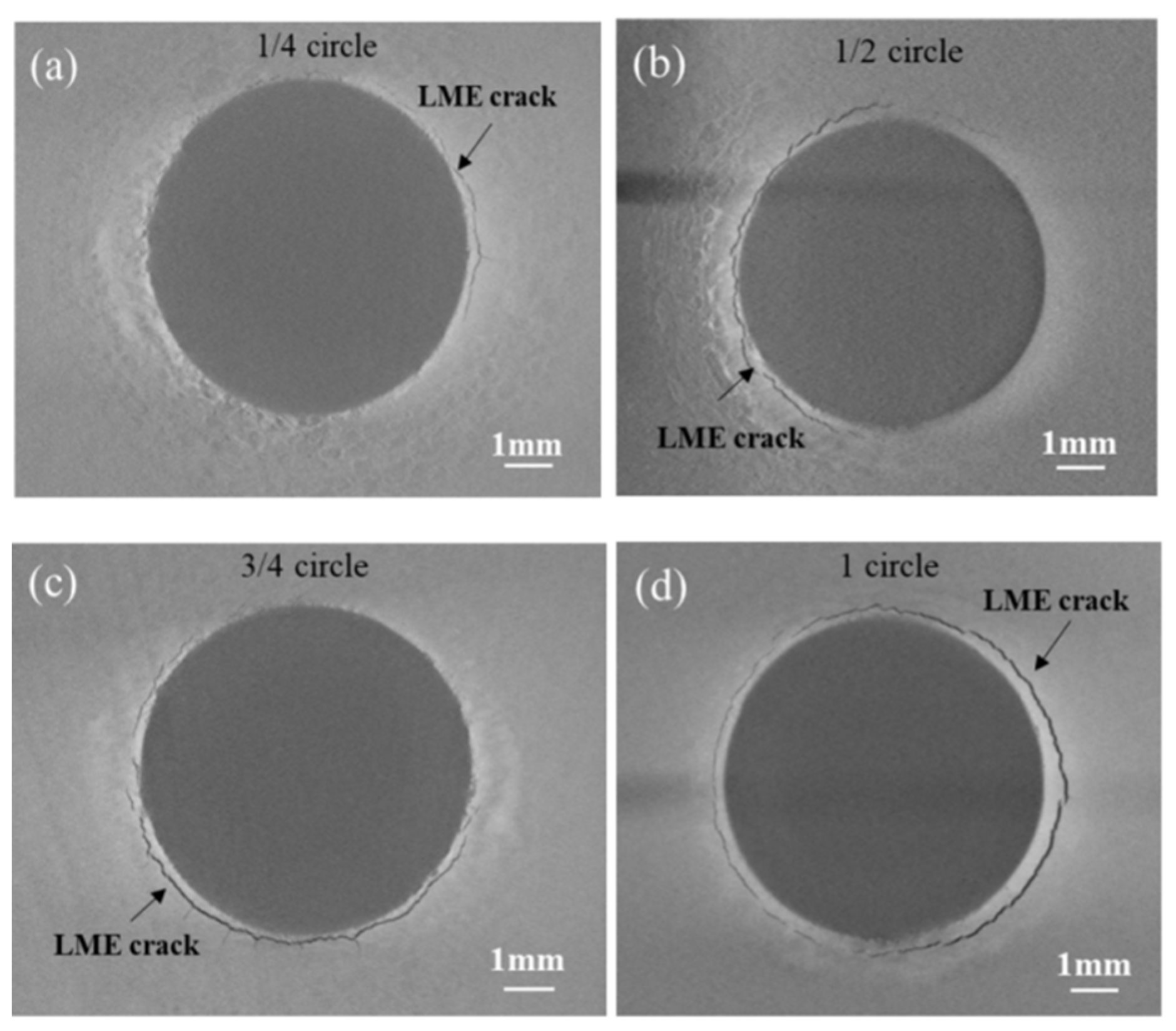 Materials 17 06149 g030