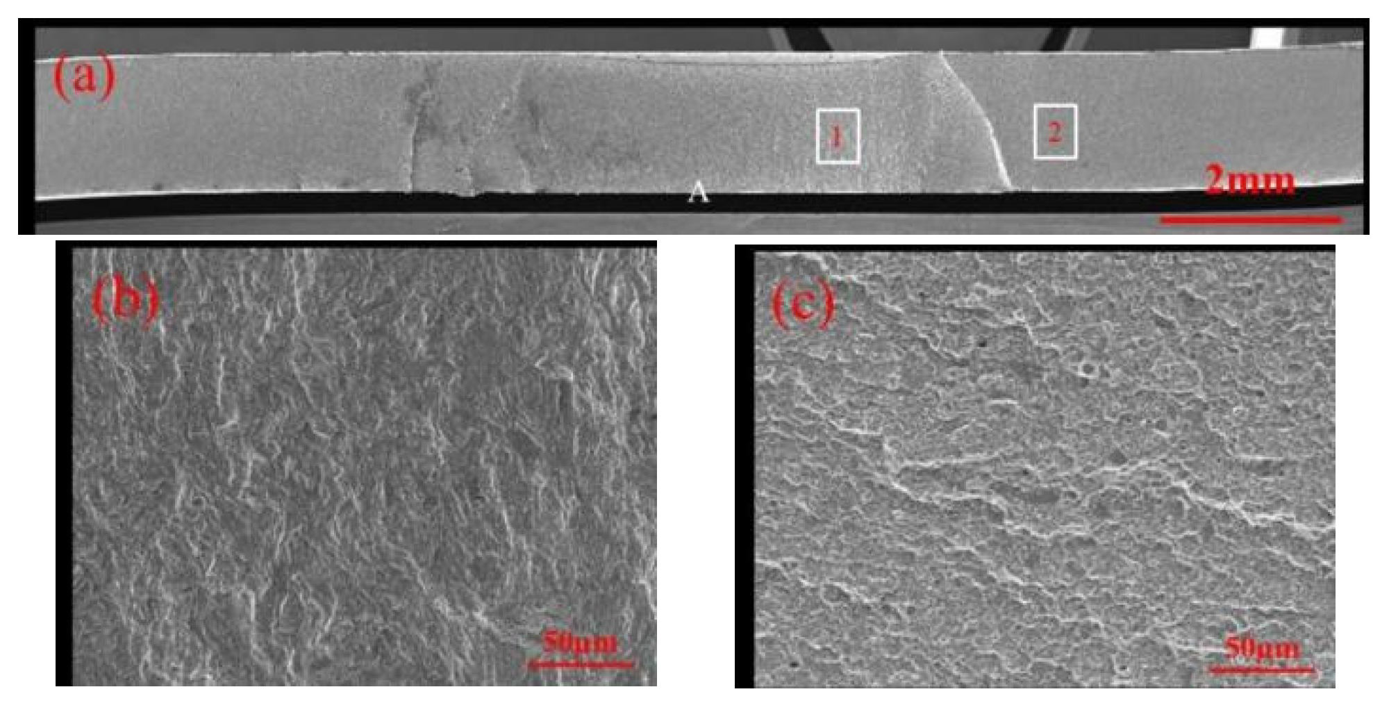 Materials 17 06149 g034